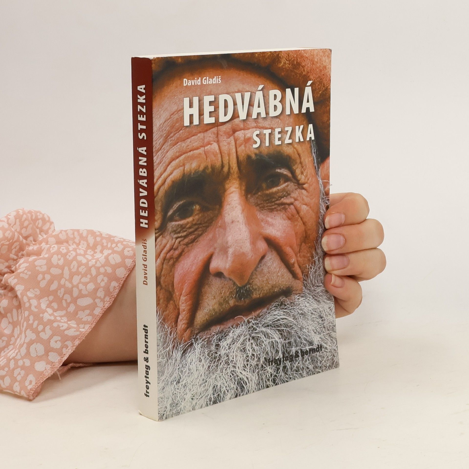 David Gladiš Hedvábná stezka