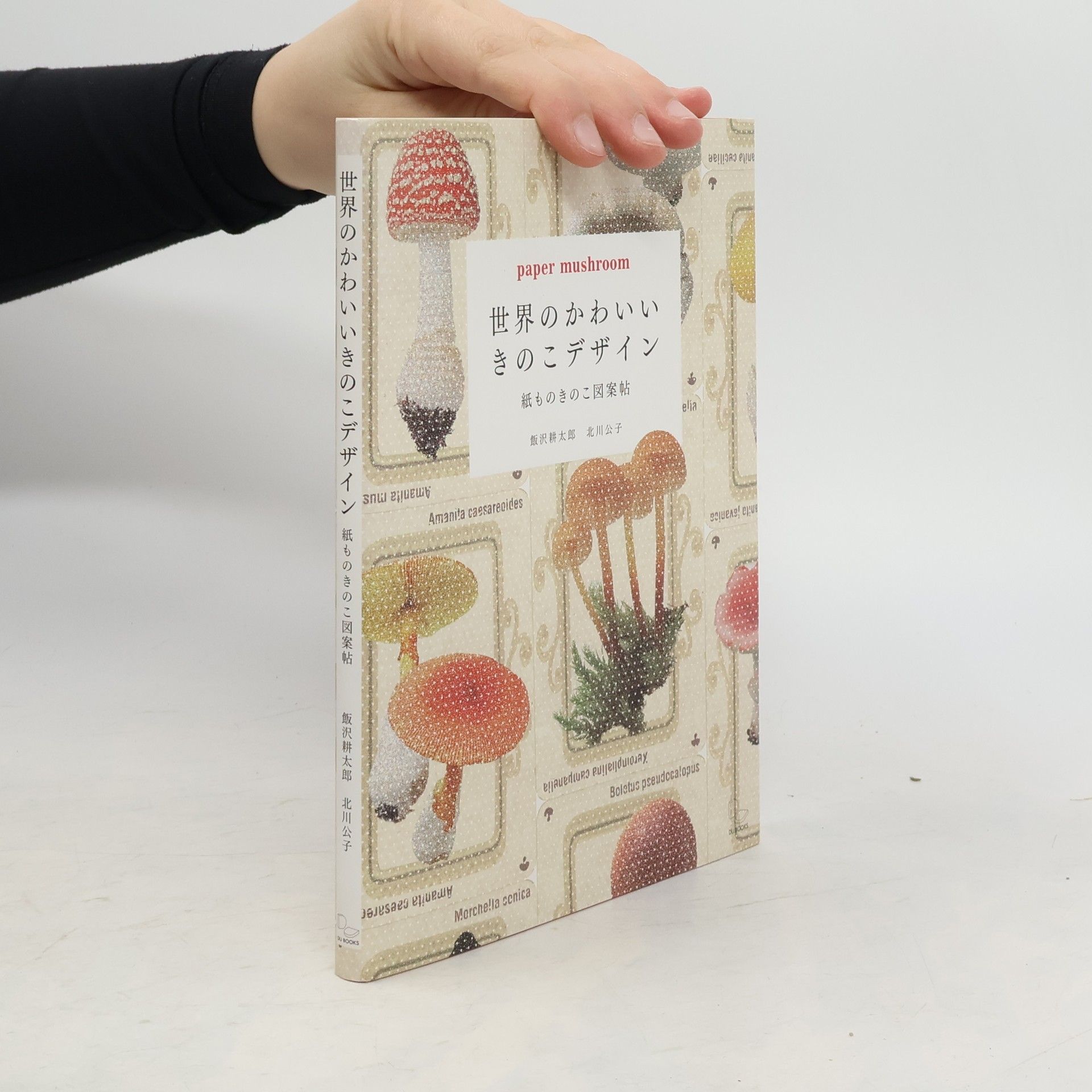 飯沢耕太郎 世界のかわいいきのこデザイン