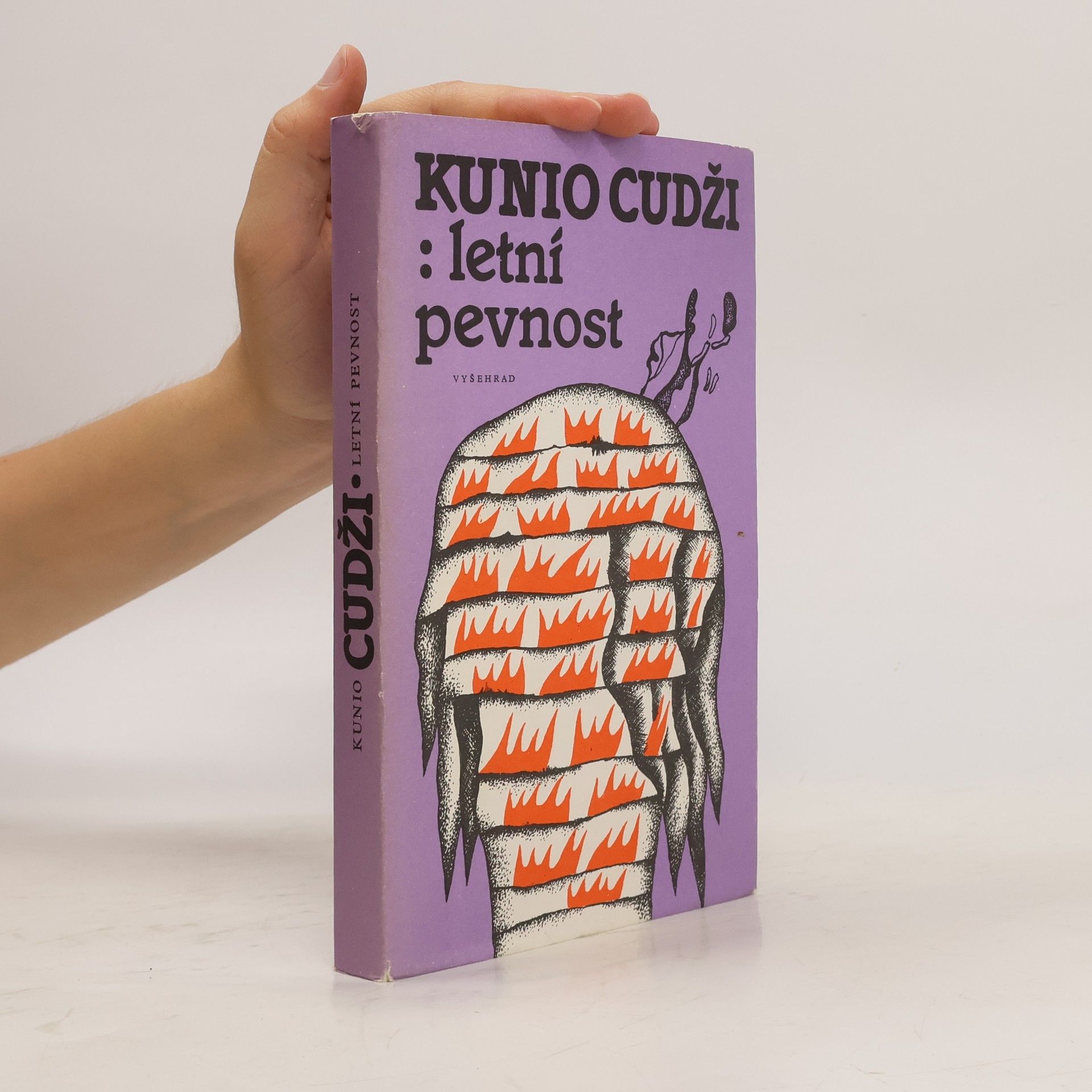Zdenka Švarcová Letní pevnost