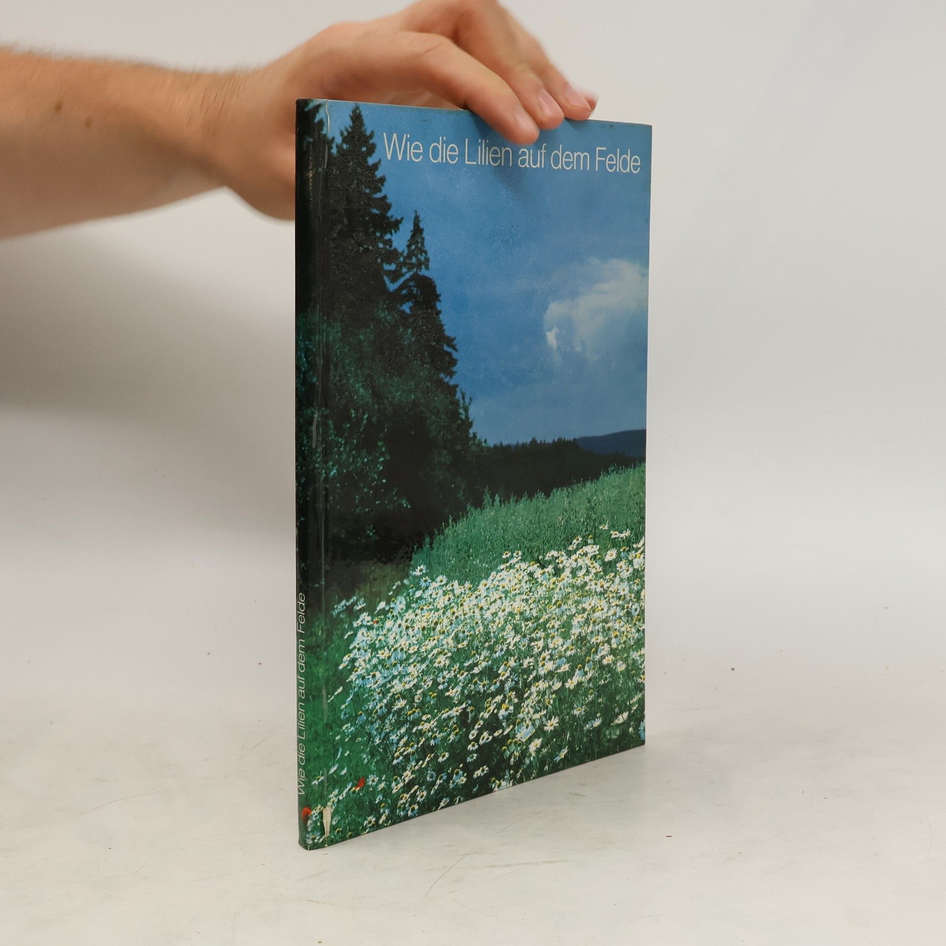Reinhold Schönemund Wie die Lilien auf dem Felde