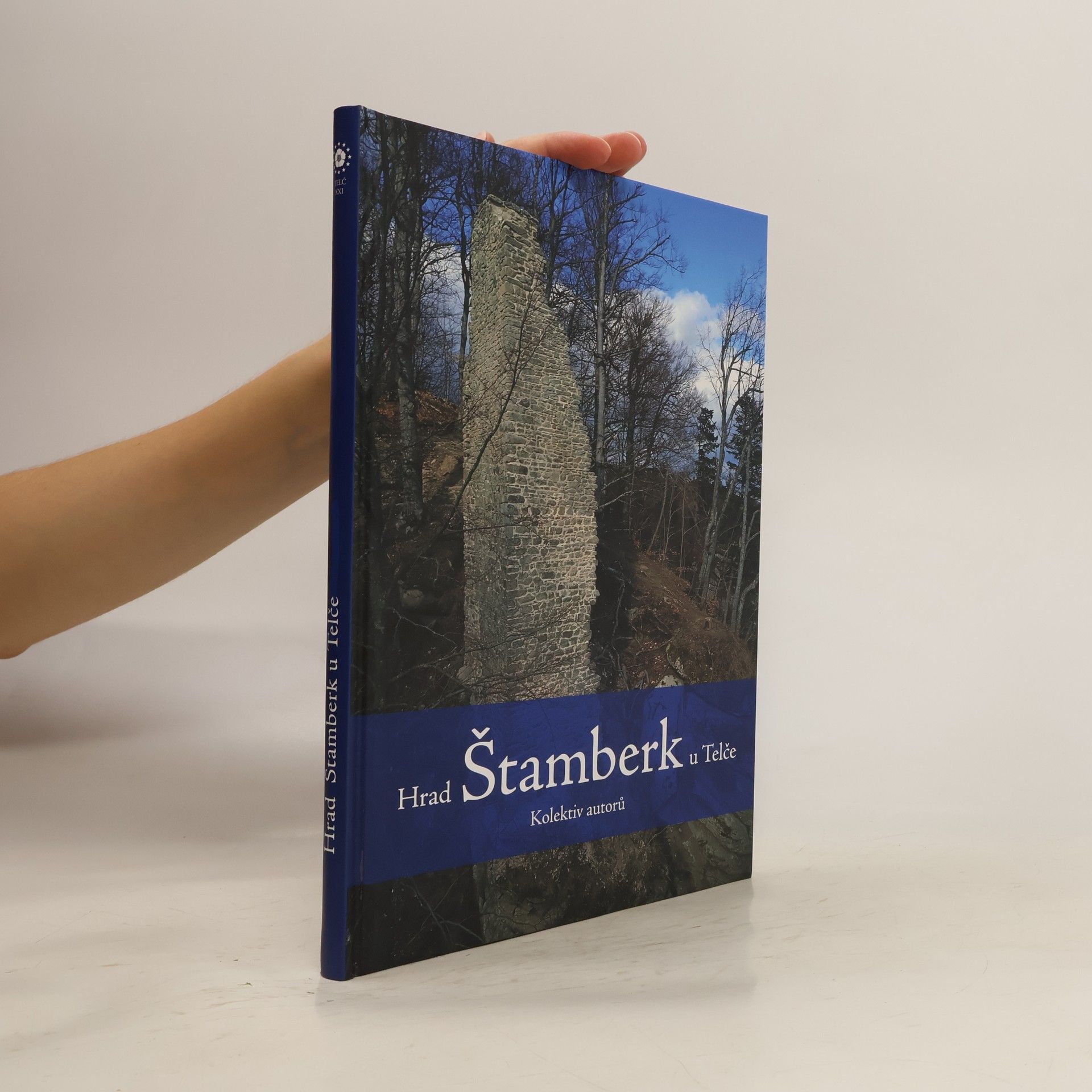 Kolektív autorov Hrad Štamberk u Telče