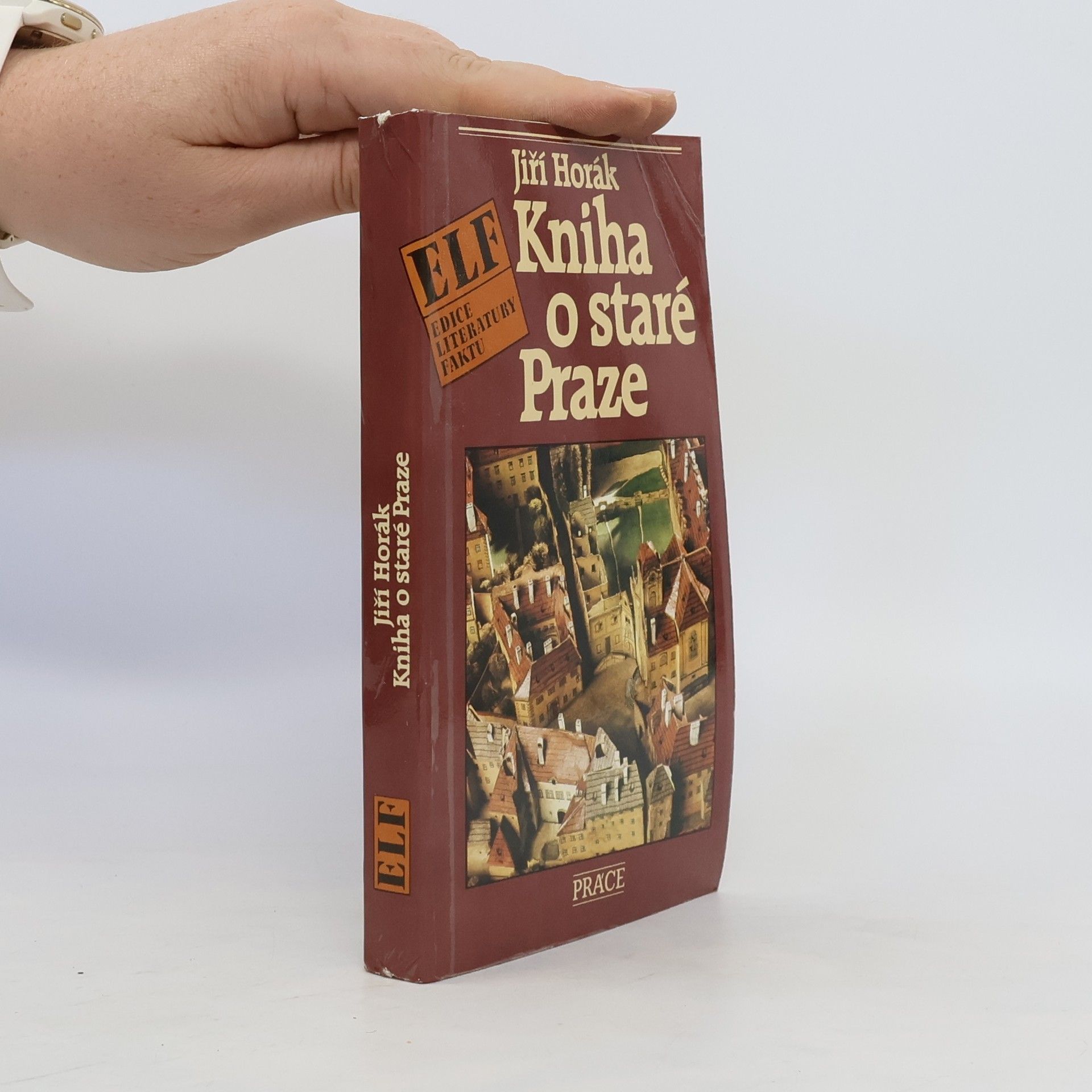 Kniha o staré Praze