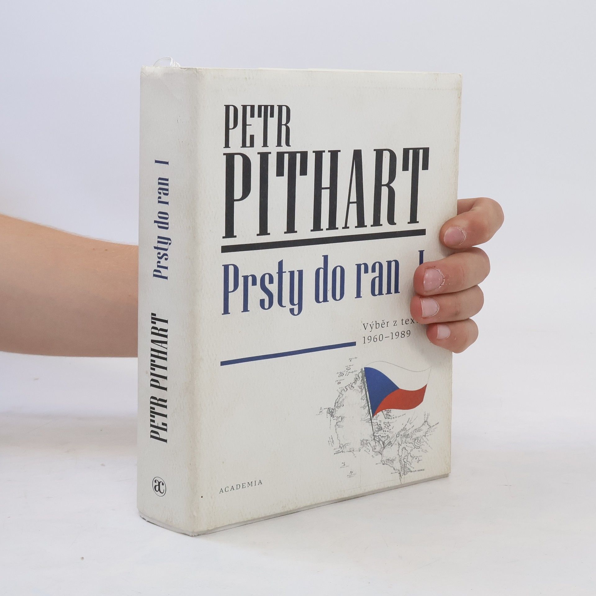 Petr Pithart Prsty do ran I