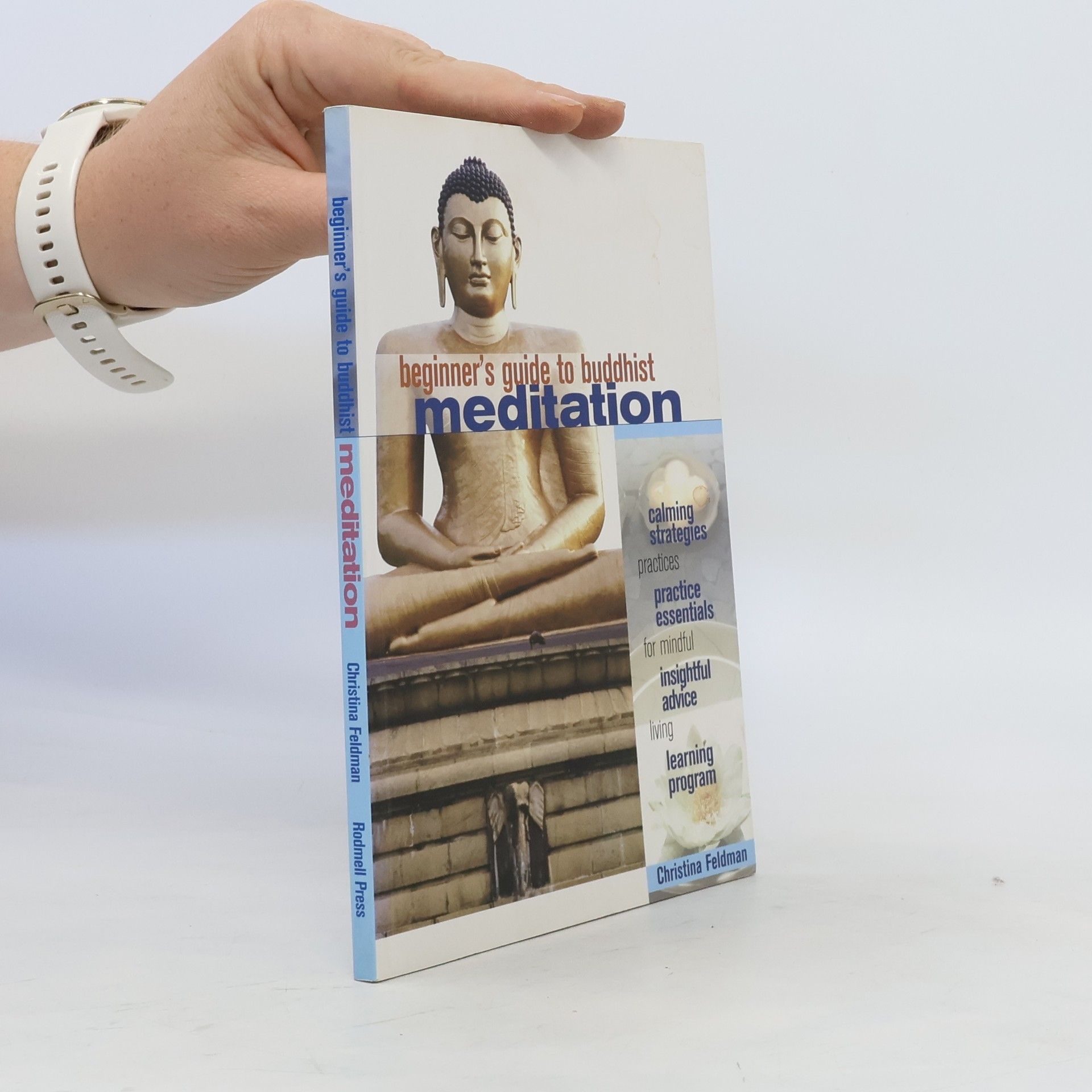 Christina Feldman Beginner's Guide to Buddhist Meditation