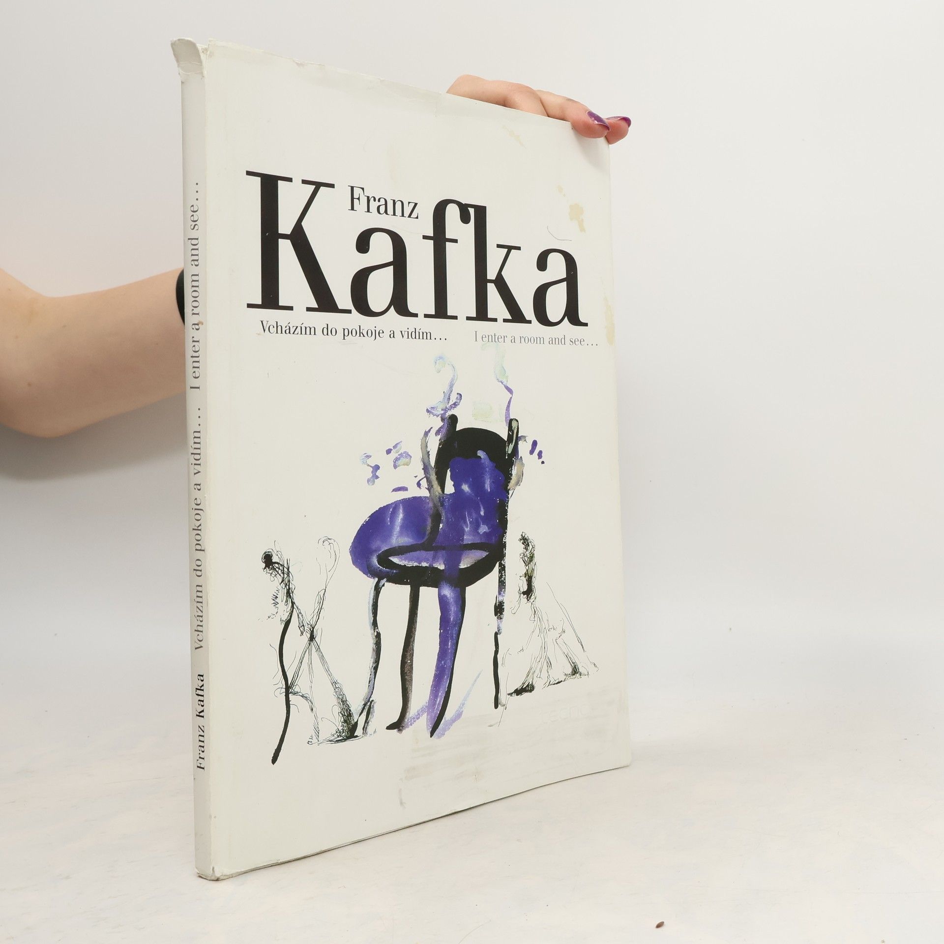 Franz Kafka Franz Kafka. Vcházím do pokoje a vidím
