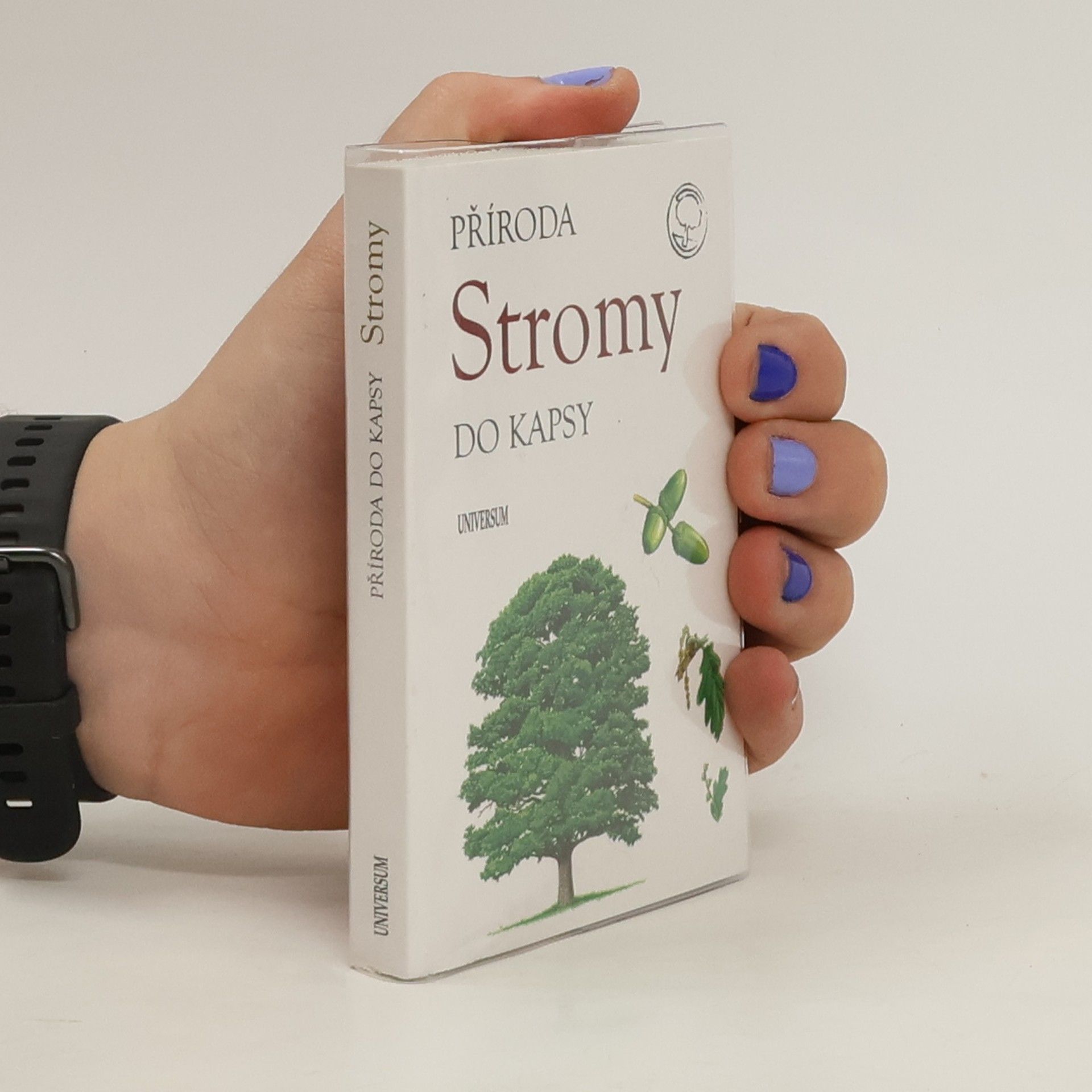 kolektiv Stromy
