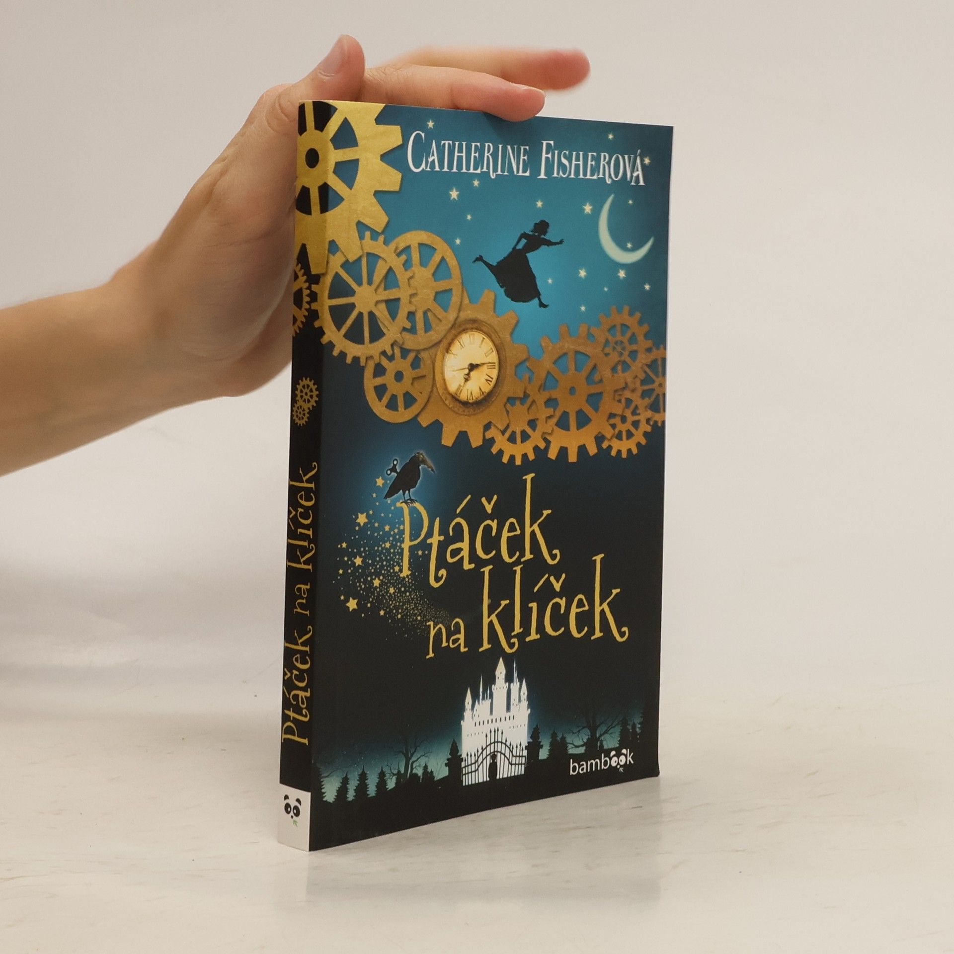 Catherine Fisher Ptáček na klíček