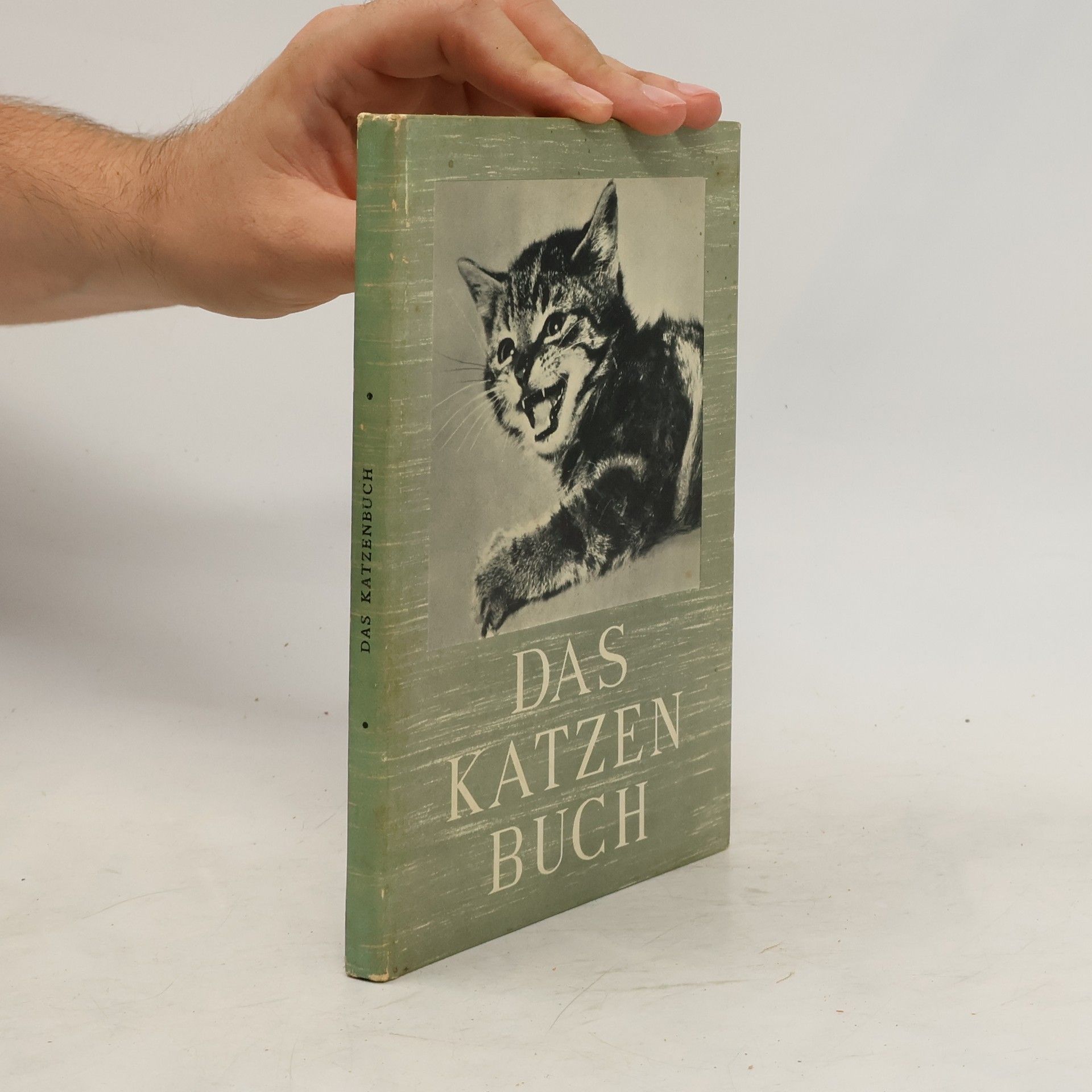 Ludwig Koch-Isenburg Das Katzenbuch
