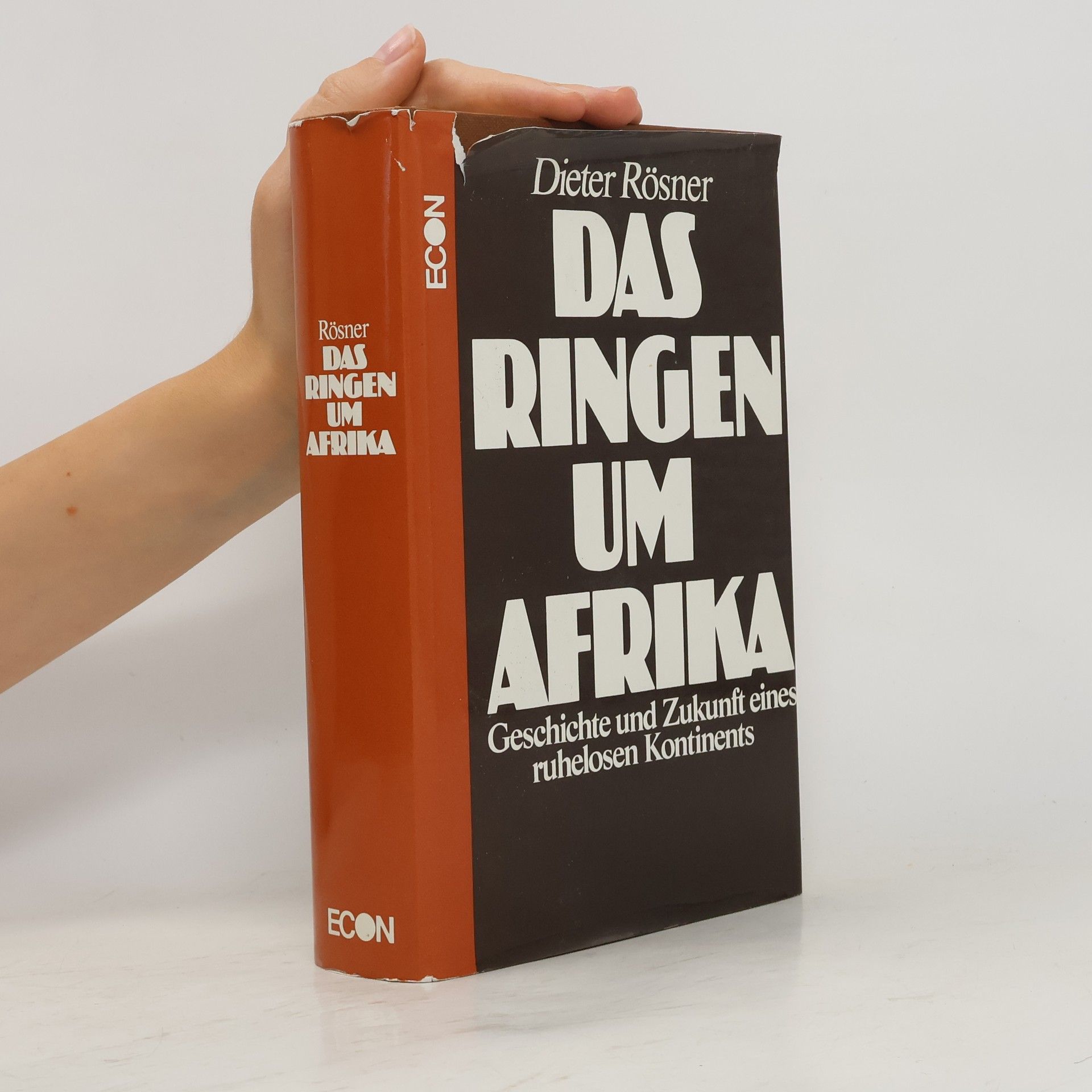 Dieter Rösner Das Ringen um Afrika