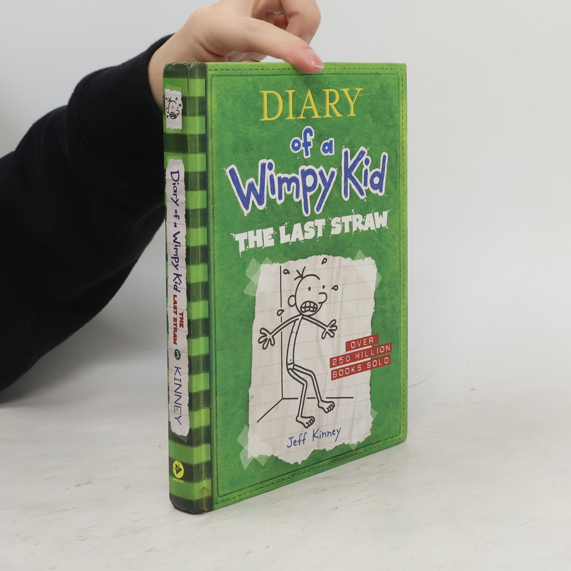 Jeff Kinney The Last Straw (Diary of a Wimpy Kid #3)