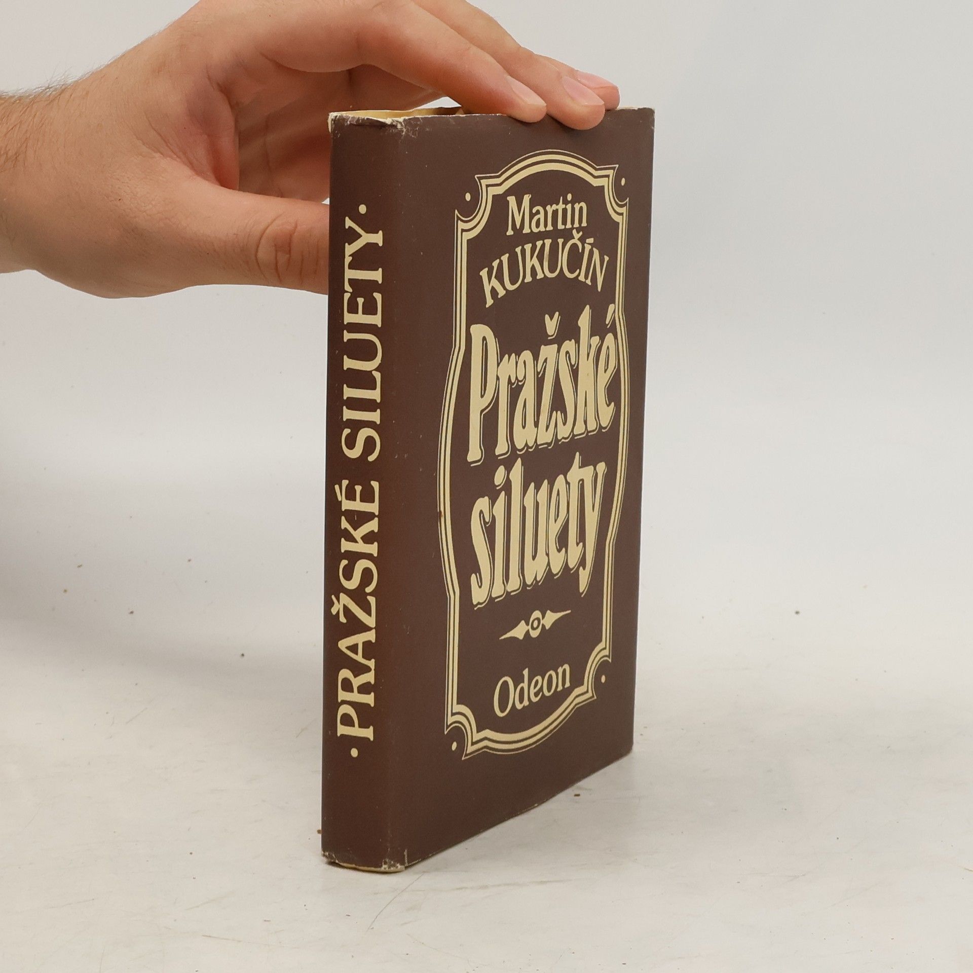 Martin Kukučín Pražské siluety