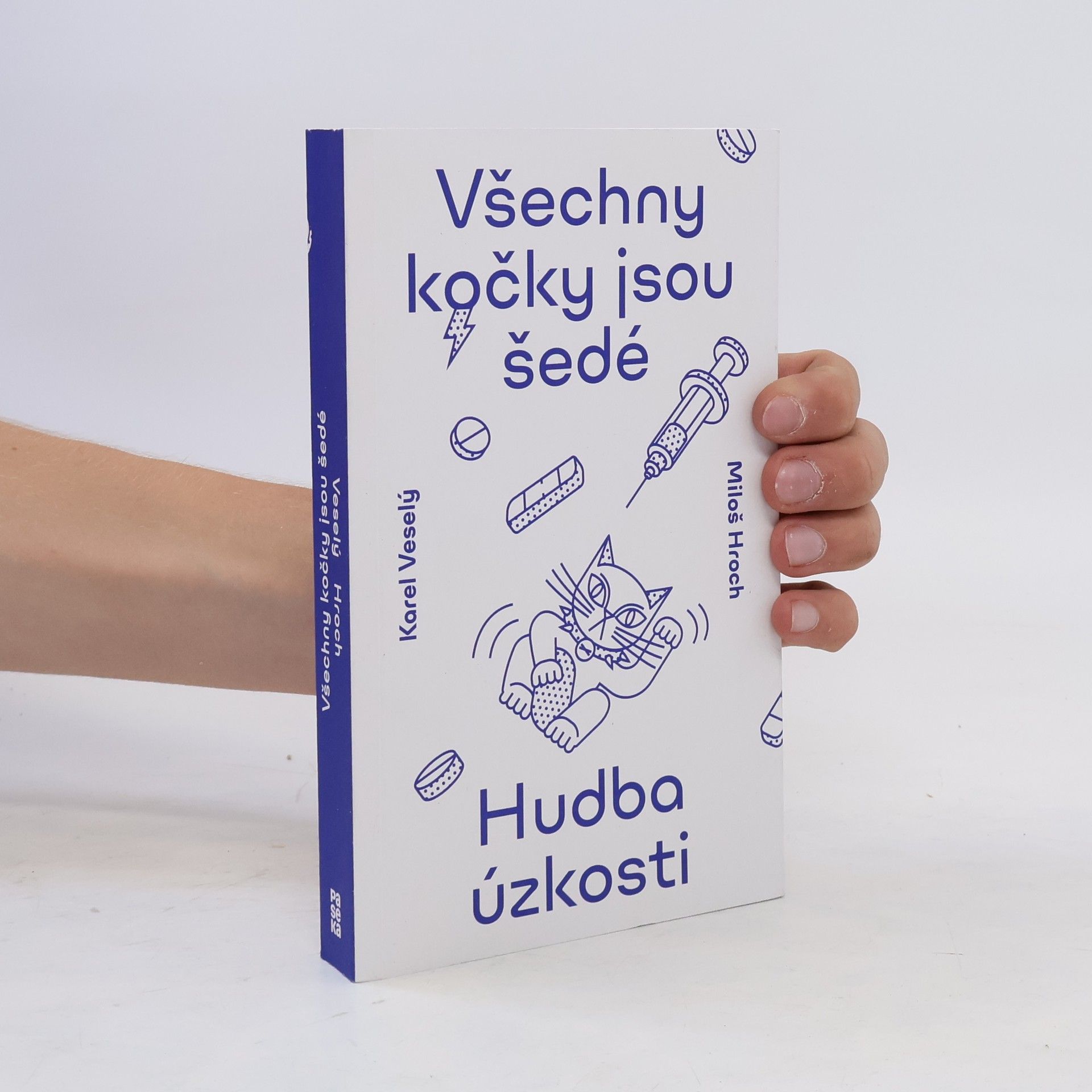 Karel Veselý Všechny kočky jsou šedé