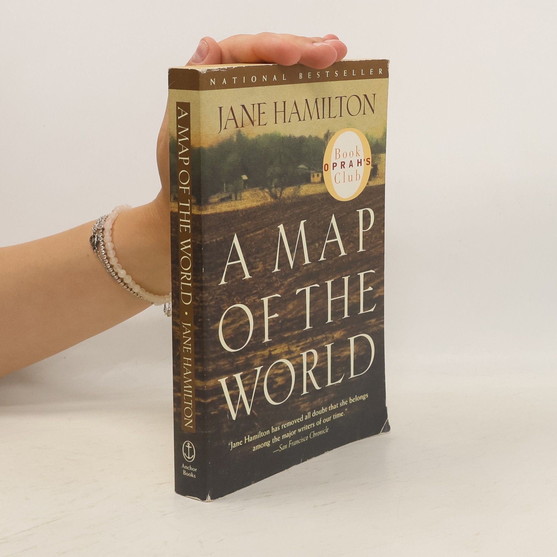 Jane Hamilton A map of the world