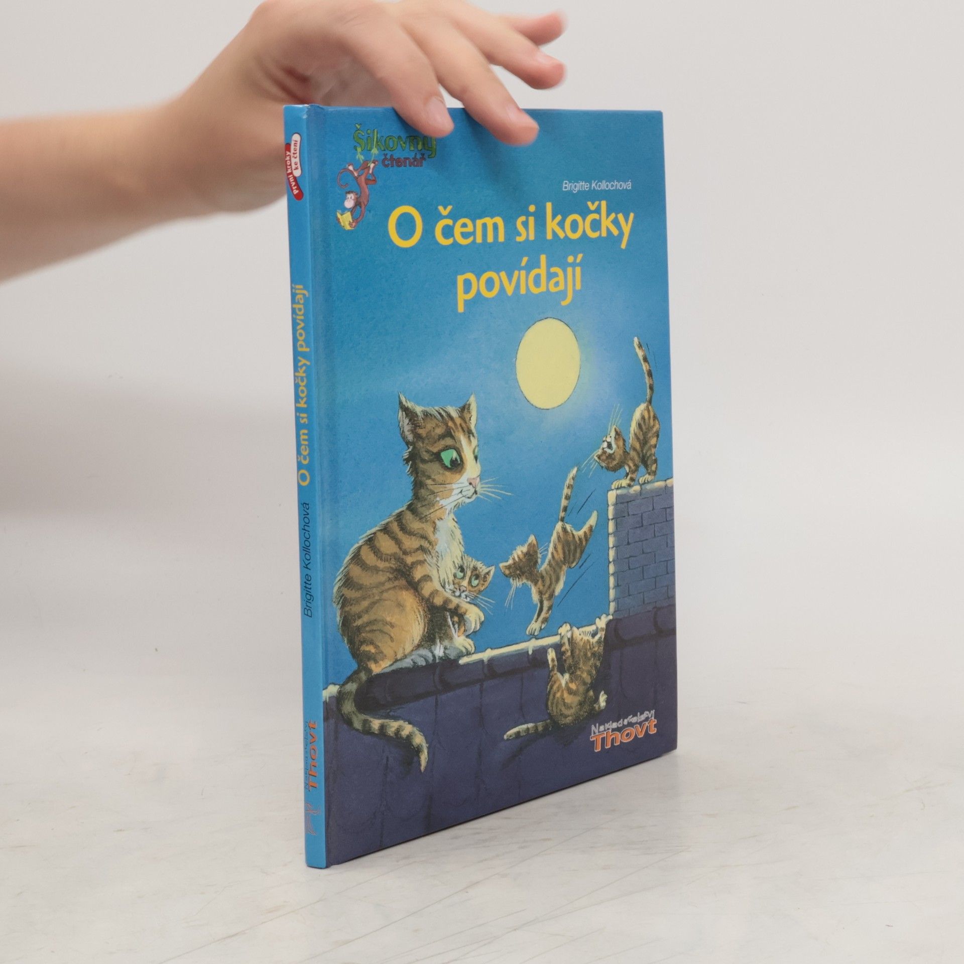 Brigitte Kolloch O čem si kočky povídají?