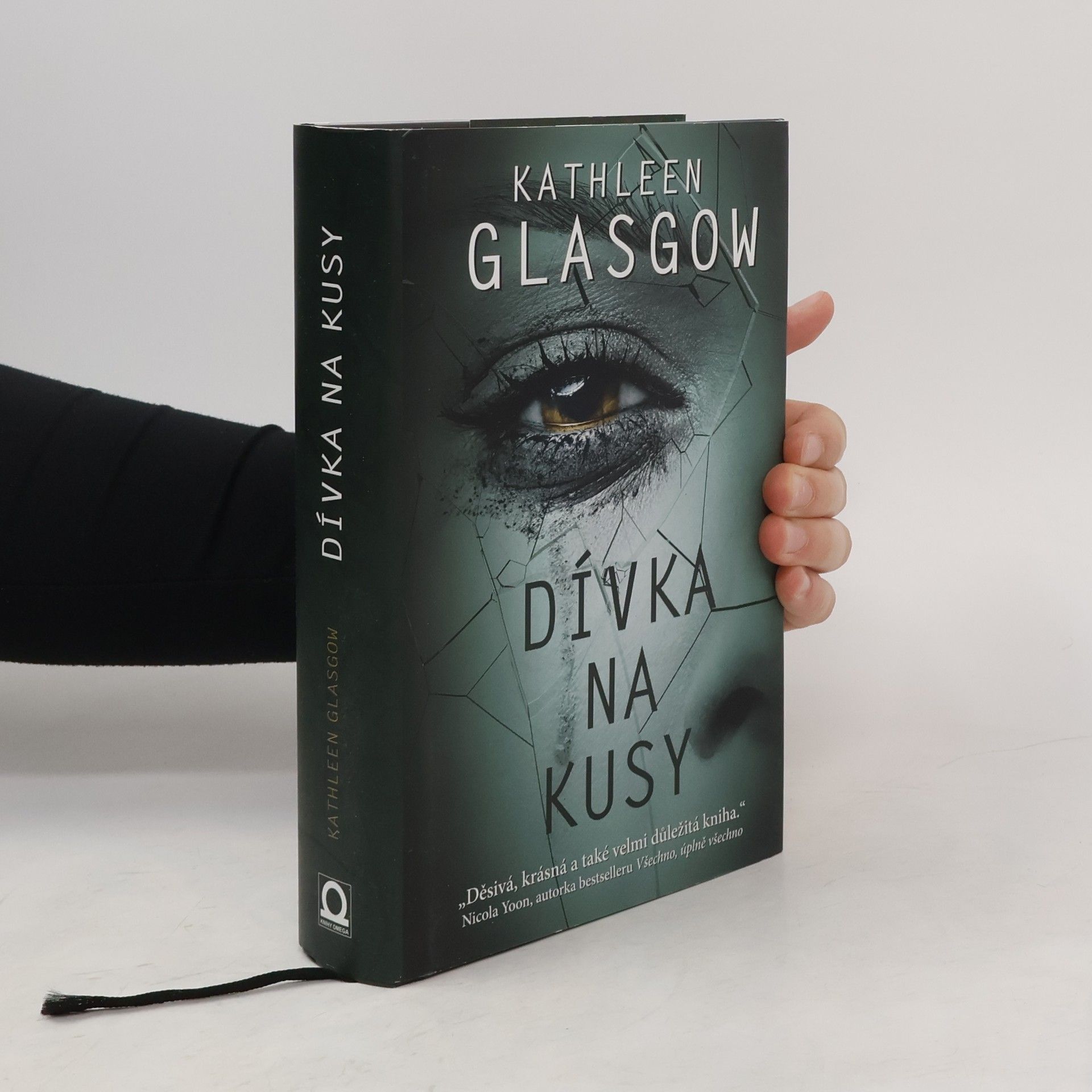Kathleen Glasgow Dívka na kusy