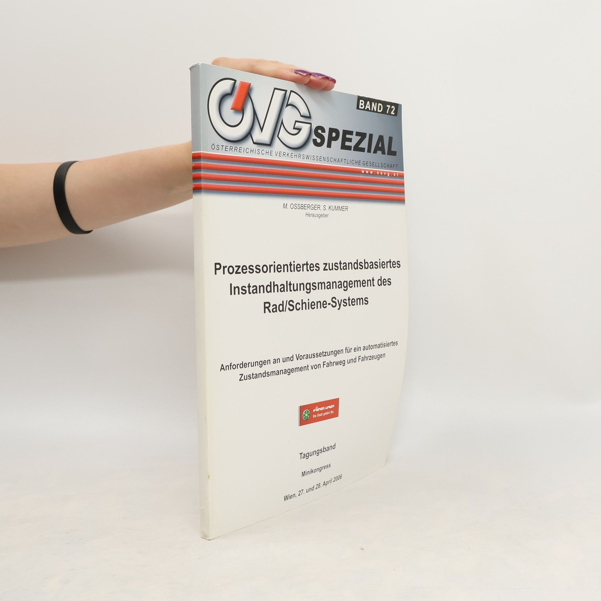 M. Ossberger Prozessorientiertes zustandsbasiertes Instandhaltungsmanagement des Rad/Schiene-Systems