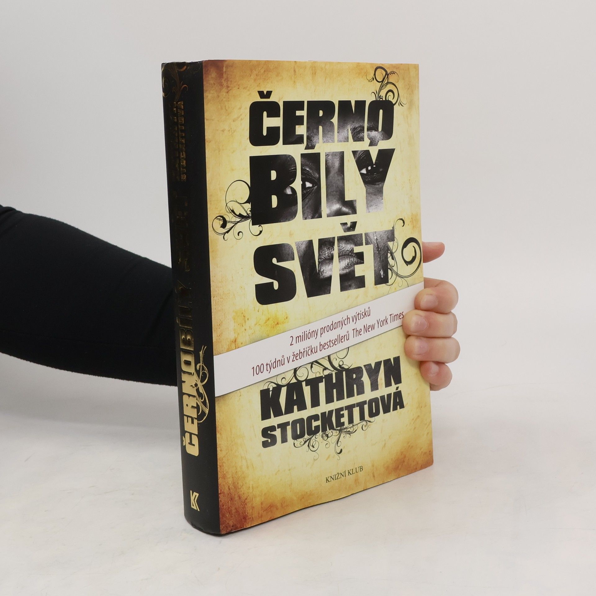 Kathryn Stockett Černobílý svět