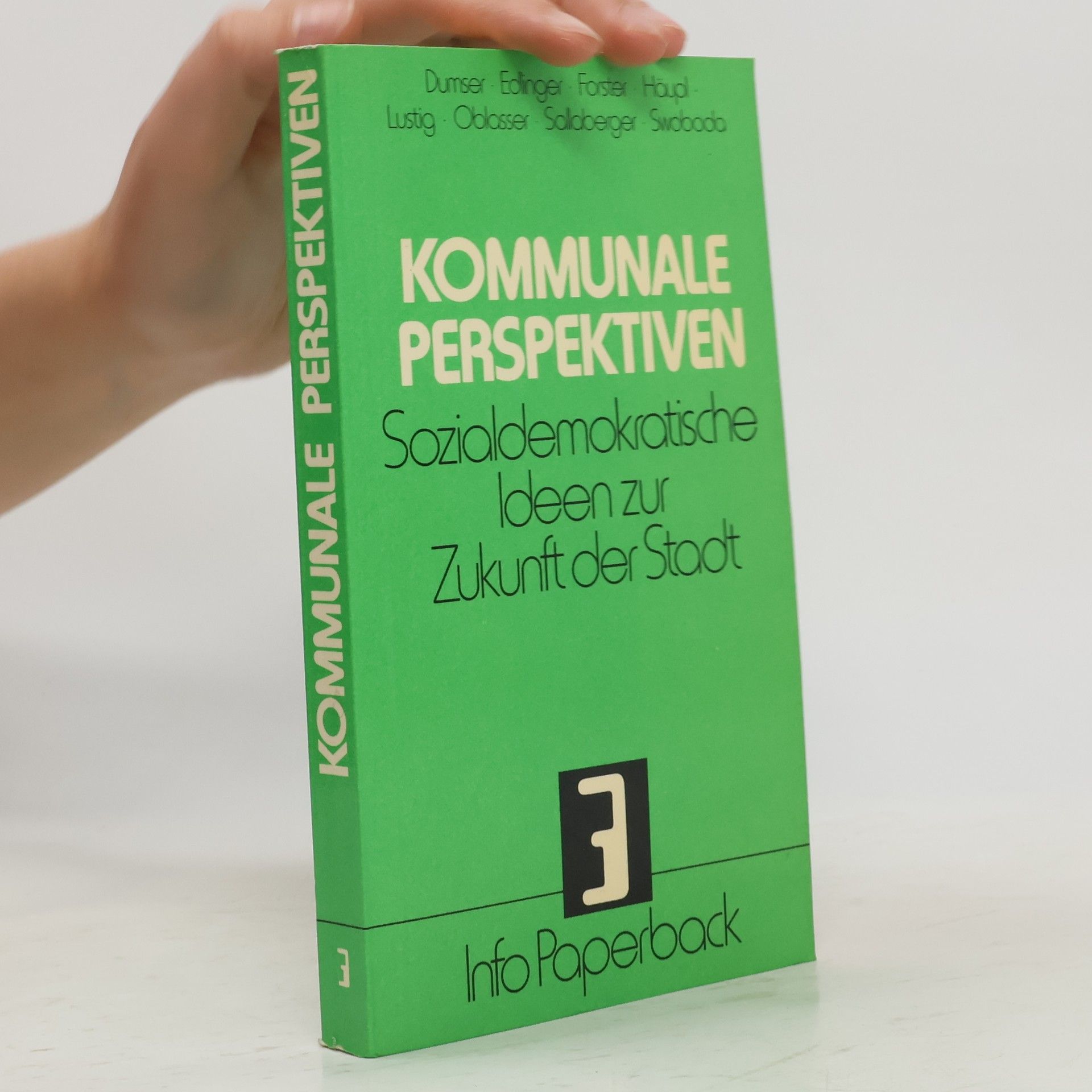 Autores varios Kommunale Perspektiven