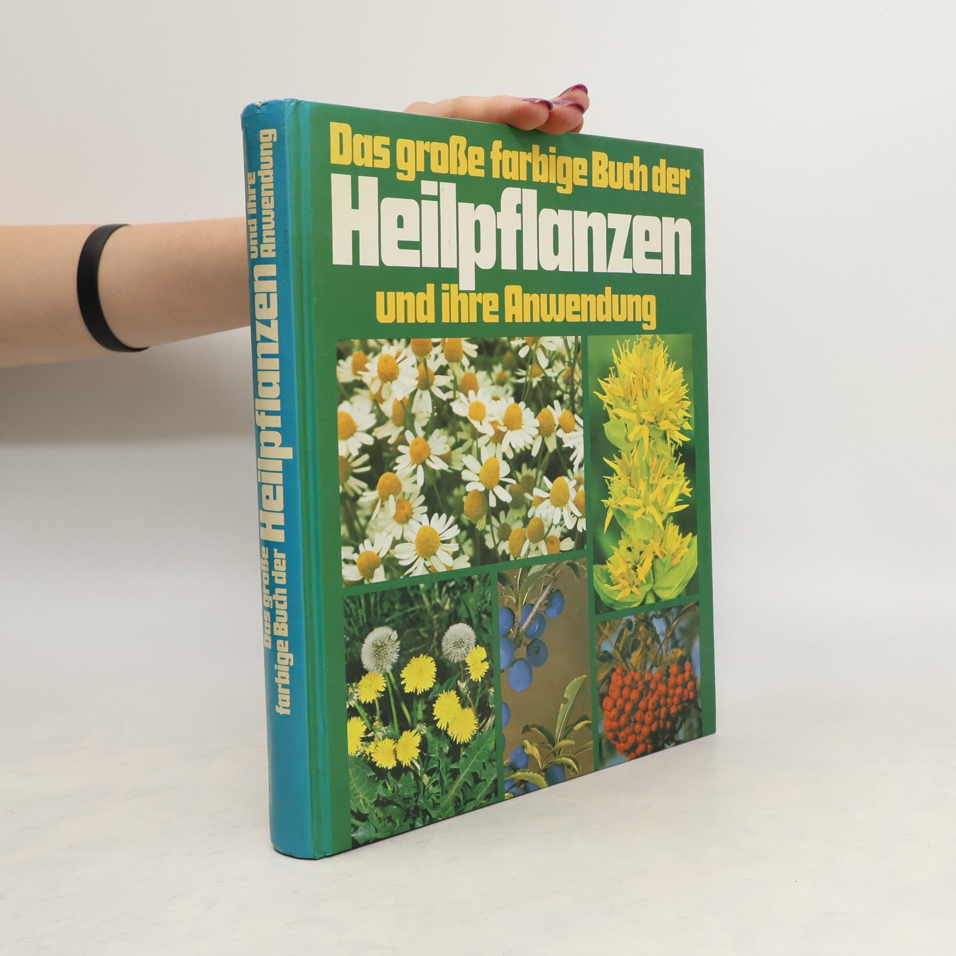 Autorenkollektiv Das große farbige Buch der Heilpflanzen und ihre Anwendung