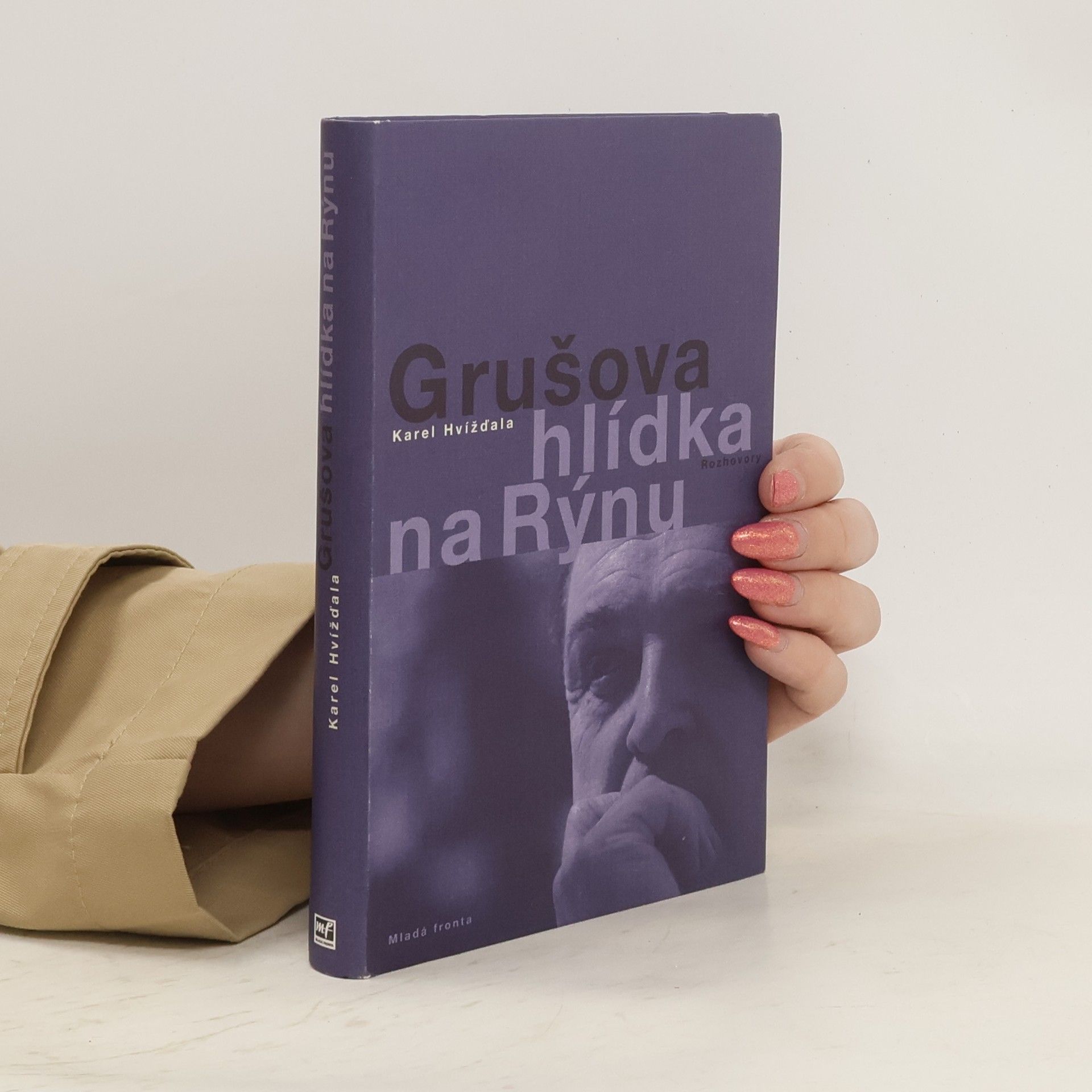 Jiří Gruša Grušova hlídka na Rýnu: Rozhovory z let 1983-2011