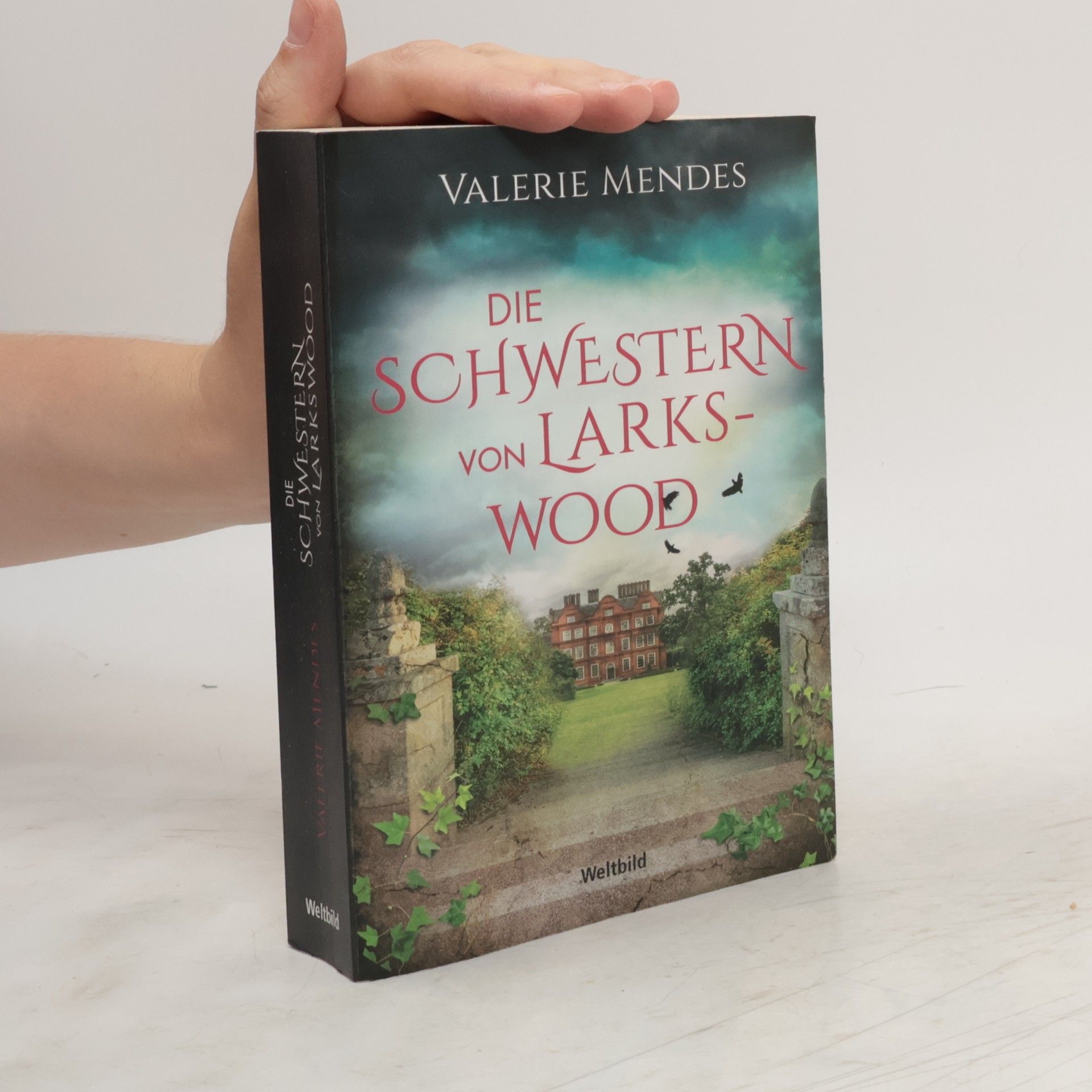 Valerie Mendes Die Schwestern von Larkswood