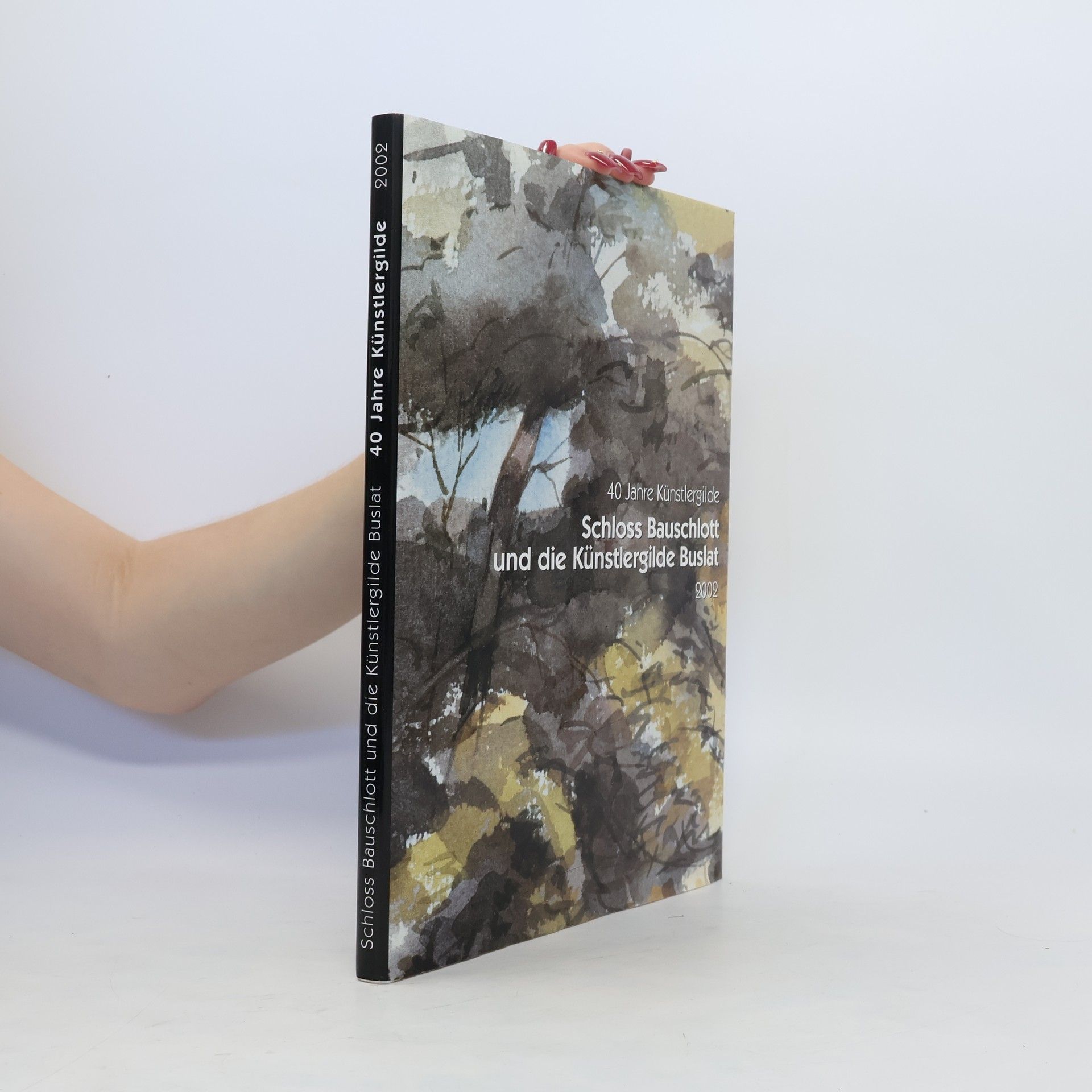 Various authors Schloss Bauschlott und die Künstlergilde Buslat