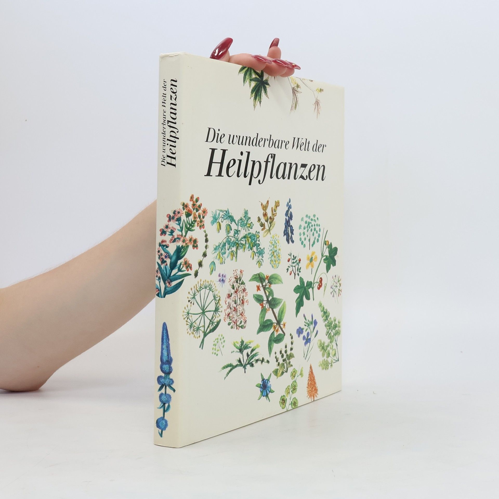 AA.VV. Die wunderbare Welt der Heilpflanzen