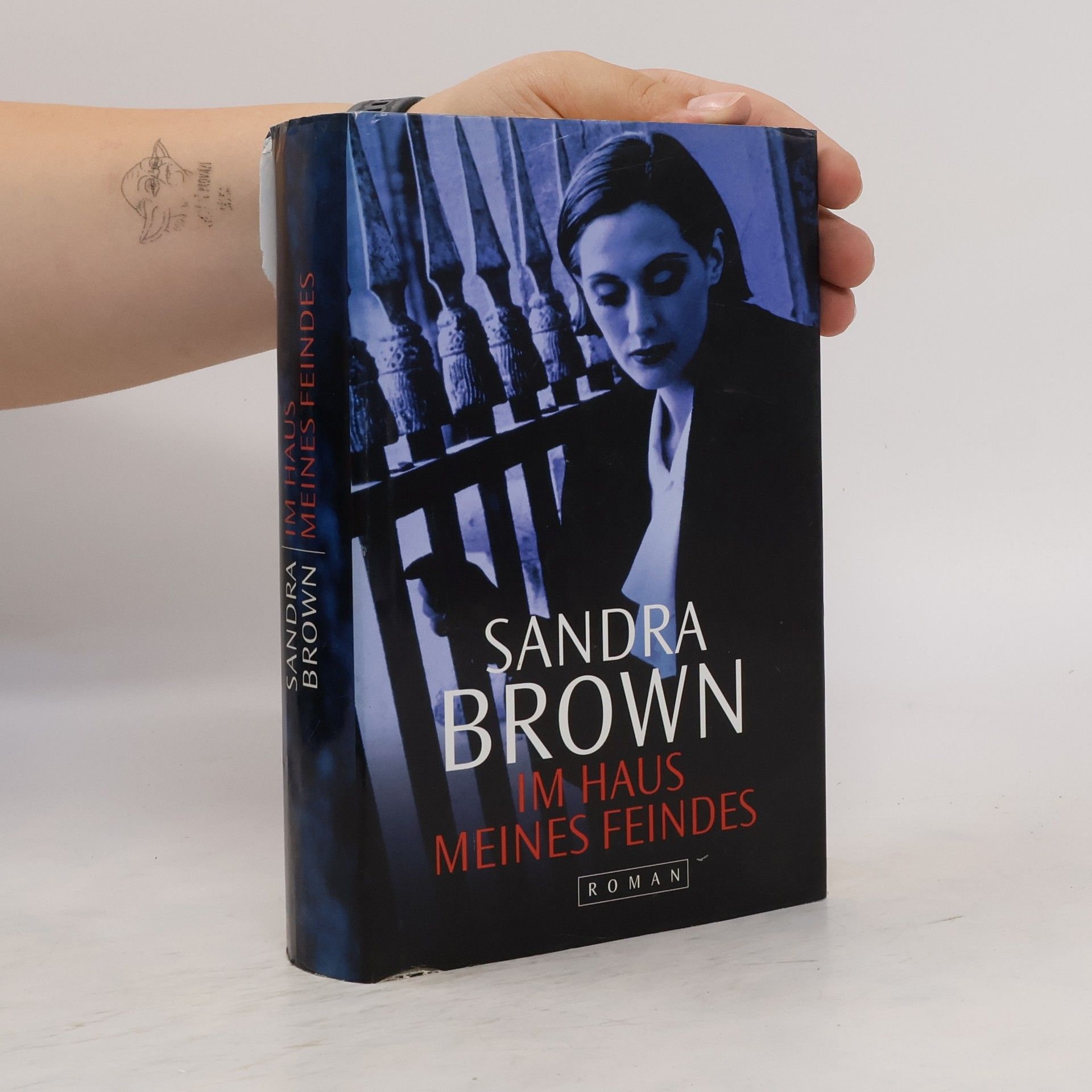 Sandra Brown Im Haus meines Feindes
