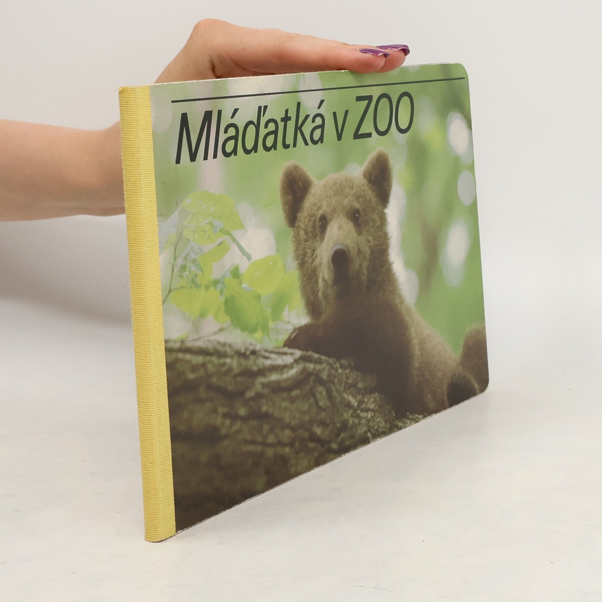 Paľo Košťál Mláďatká v ZOO
