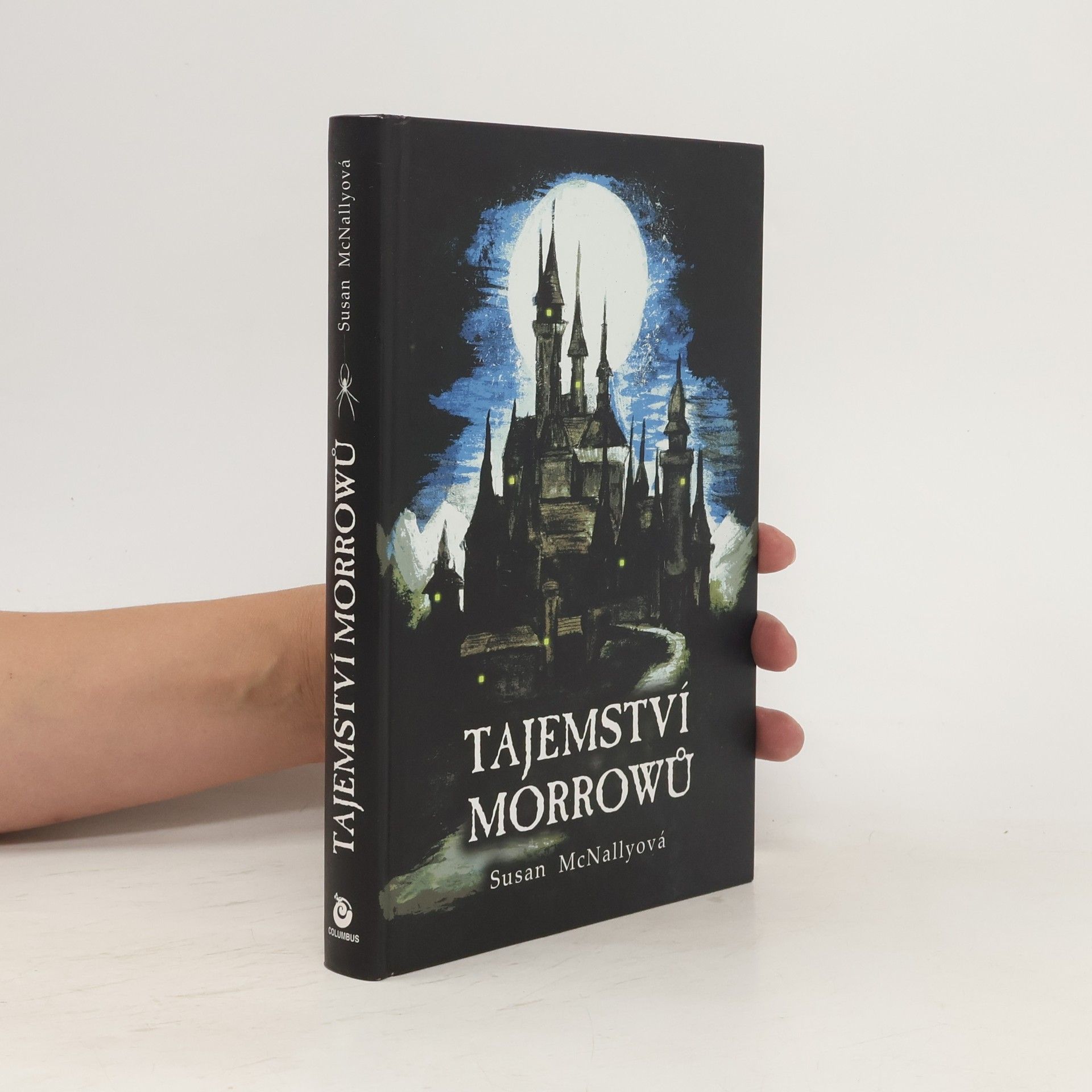 Susan McNally Tajemství Morrowů.