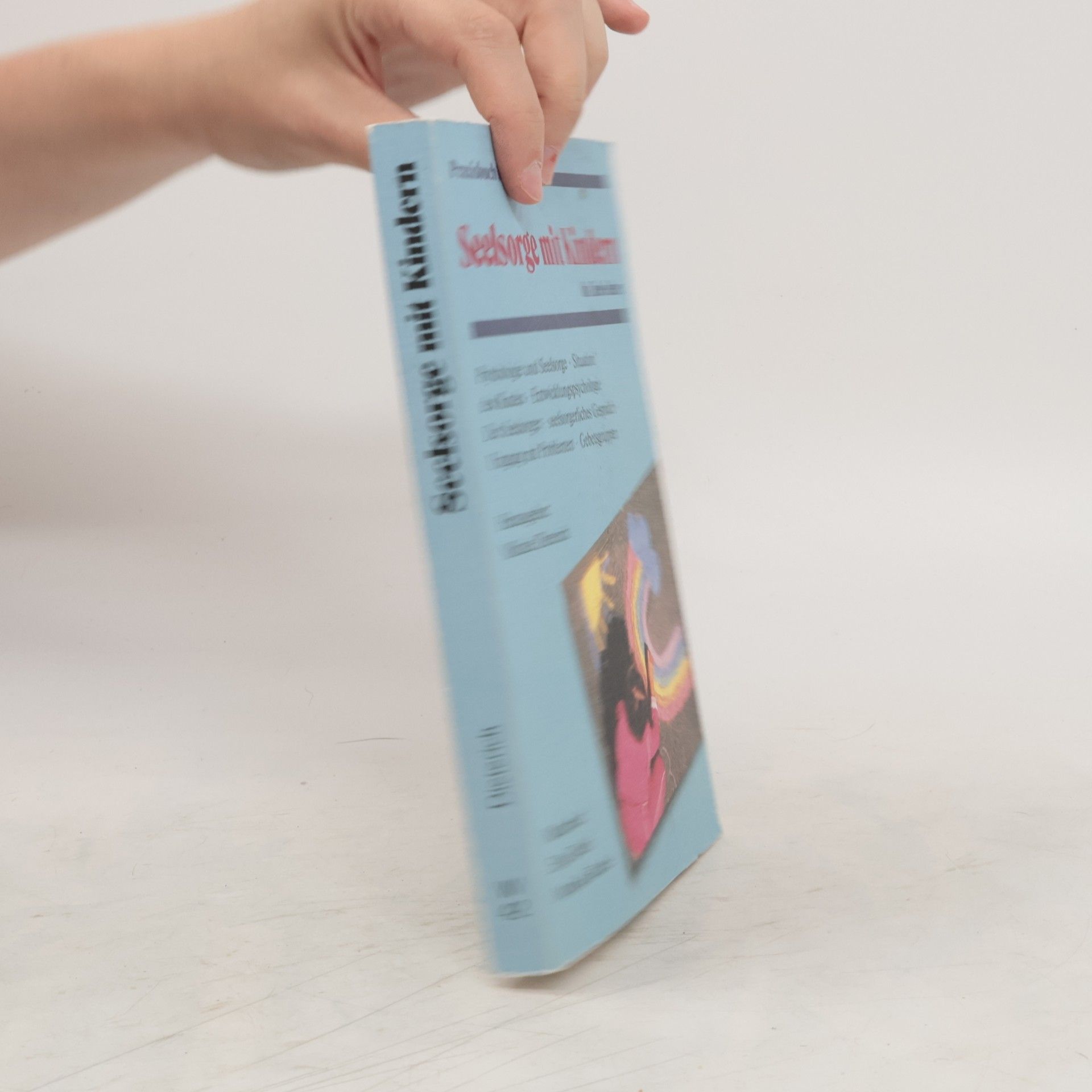 Rainer Zelewske Praxisbuch Jugendarbeit