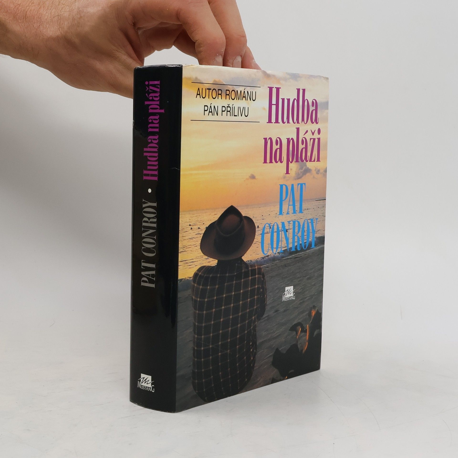 Pat Conroy Hudba na pláži