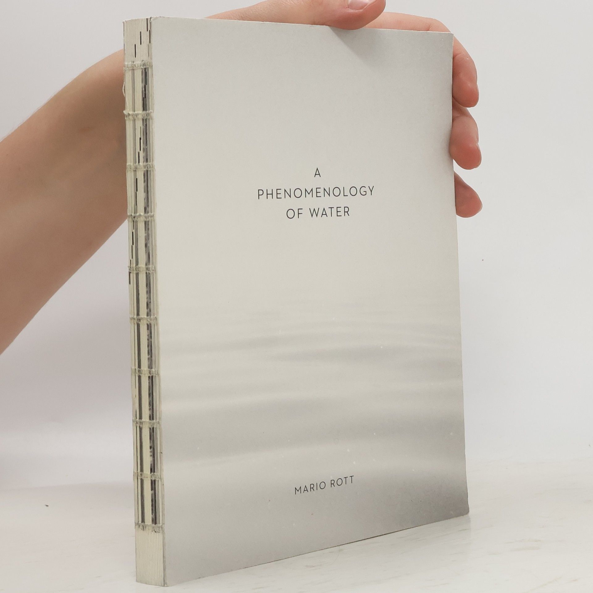 Mario Rott A Phenomenology of Water