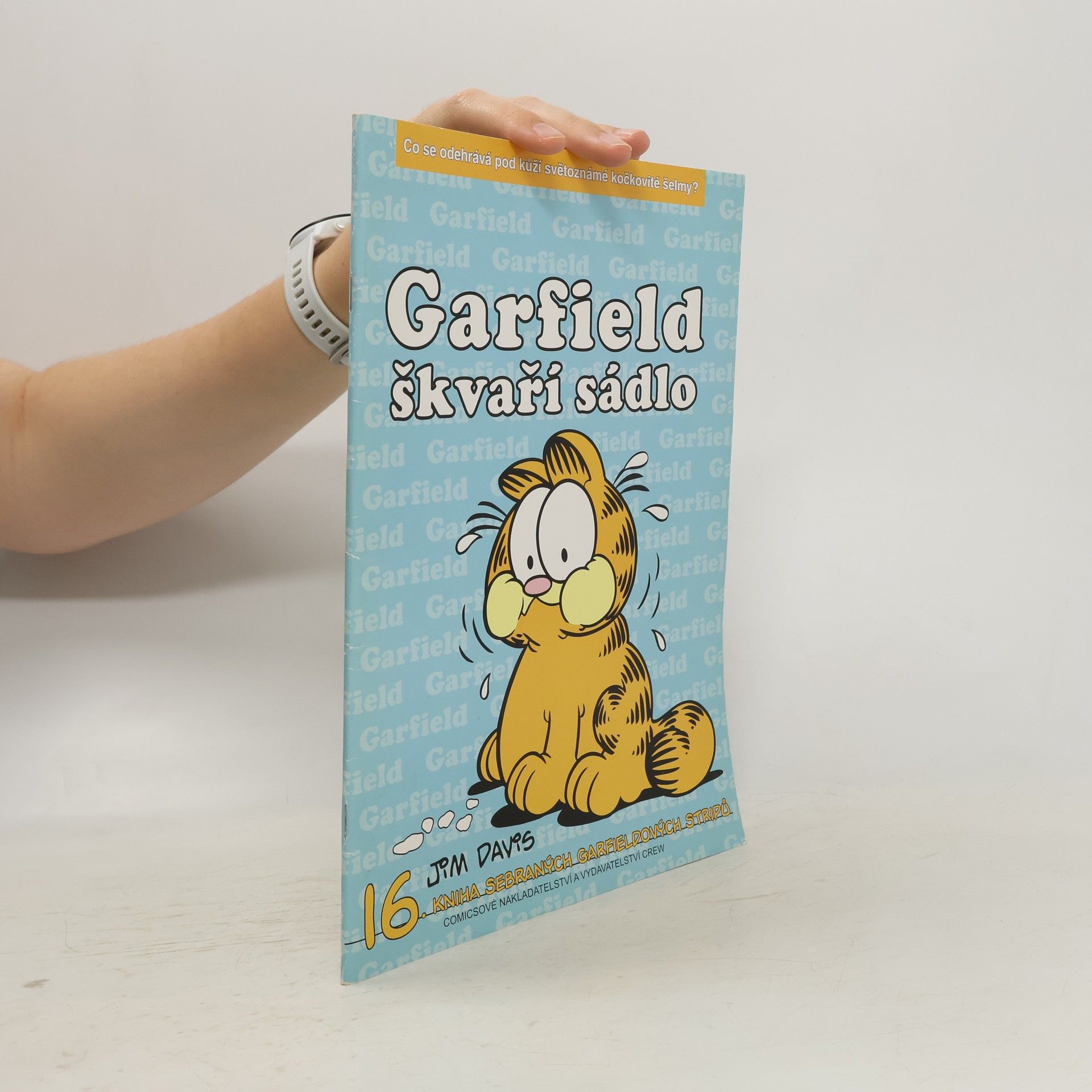 Jim Davis Garfield škvaří sádlo