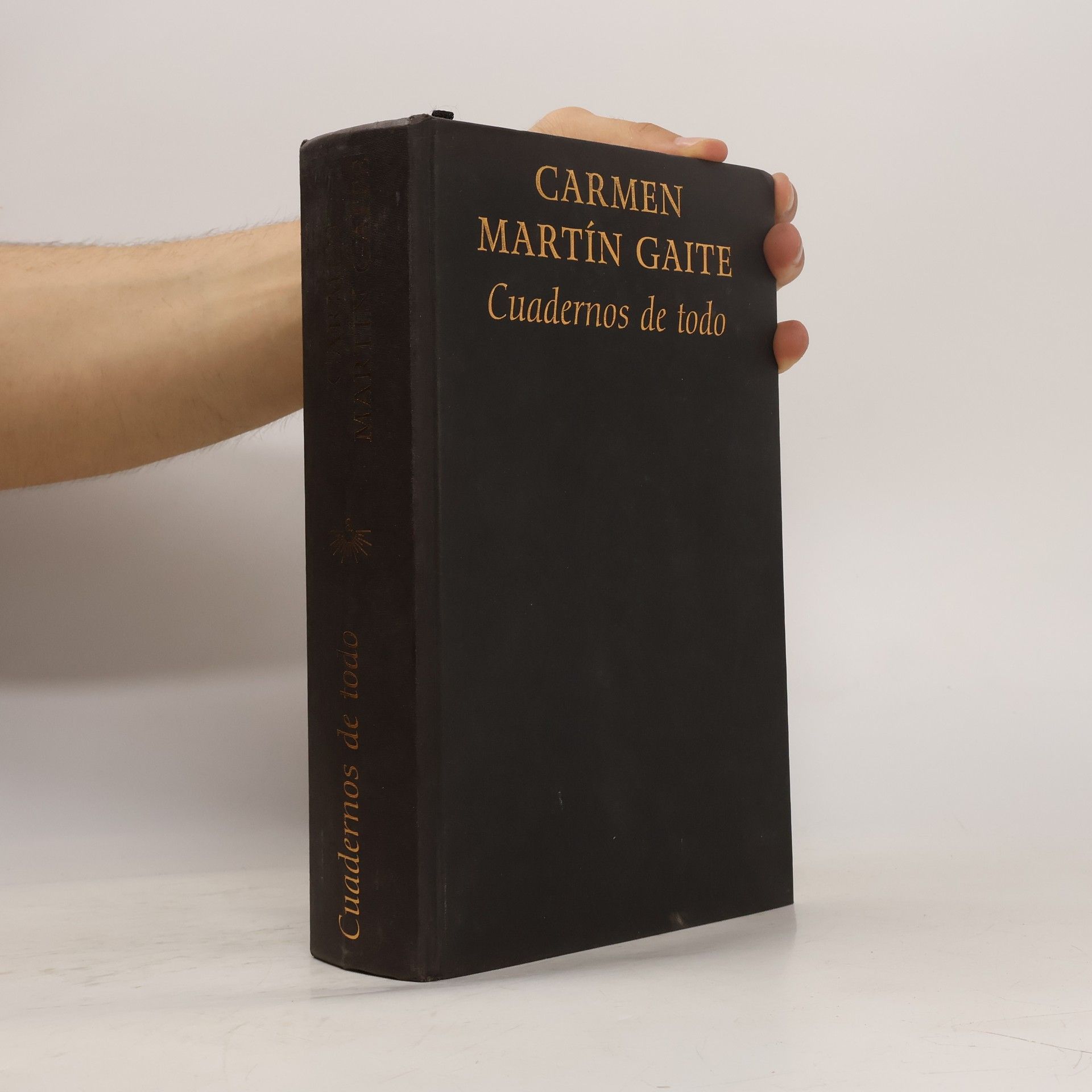 Carmen Martín Gaite Cuadernos de todo