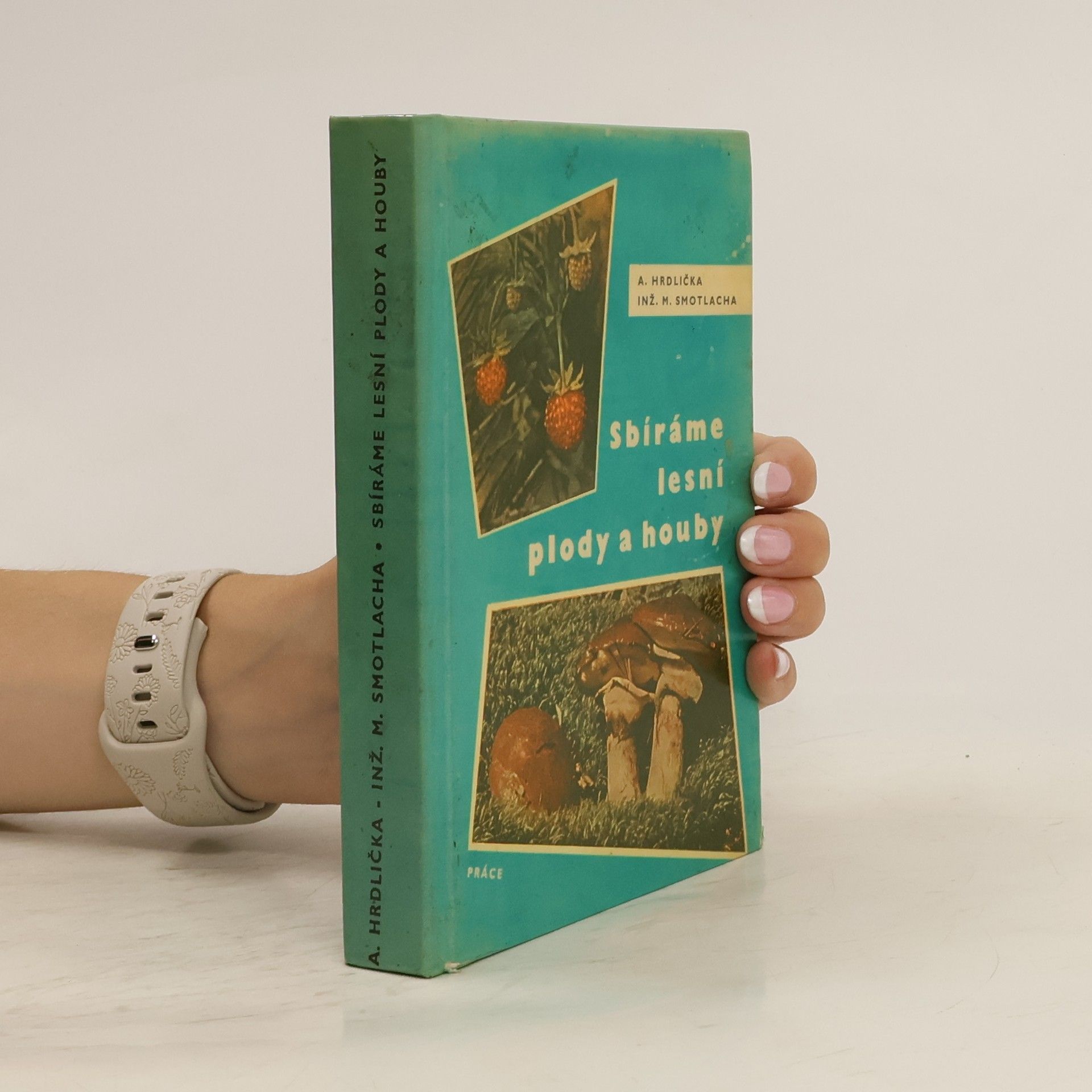 Antonín Hrdlička Sbíráme lesní plody a houby