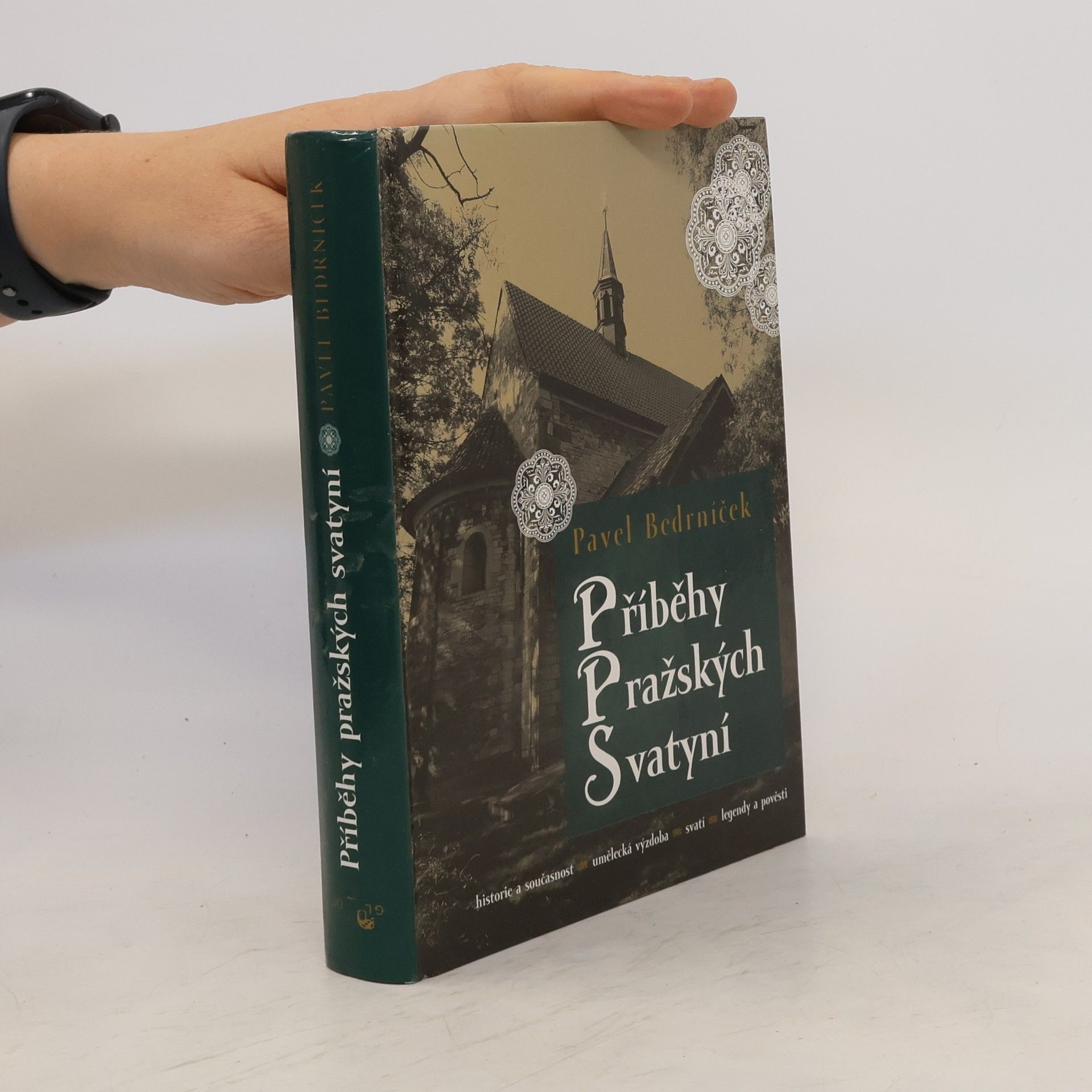 Pavel Bedrníček Příběhy pražských svatyní