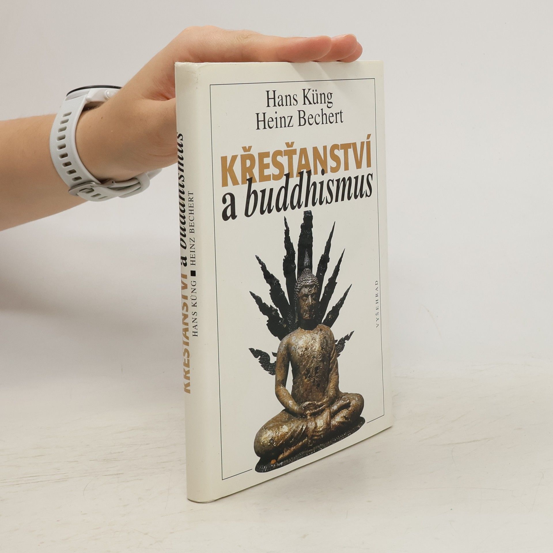 Hans Küng Křesťanství a buddhismus. Na cestě k dialogu