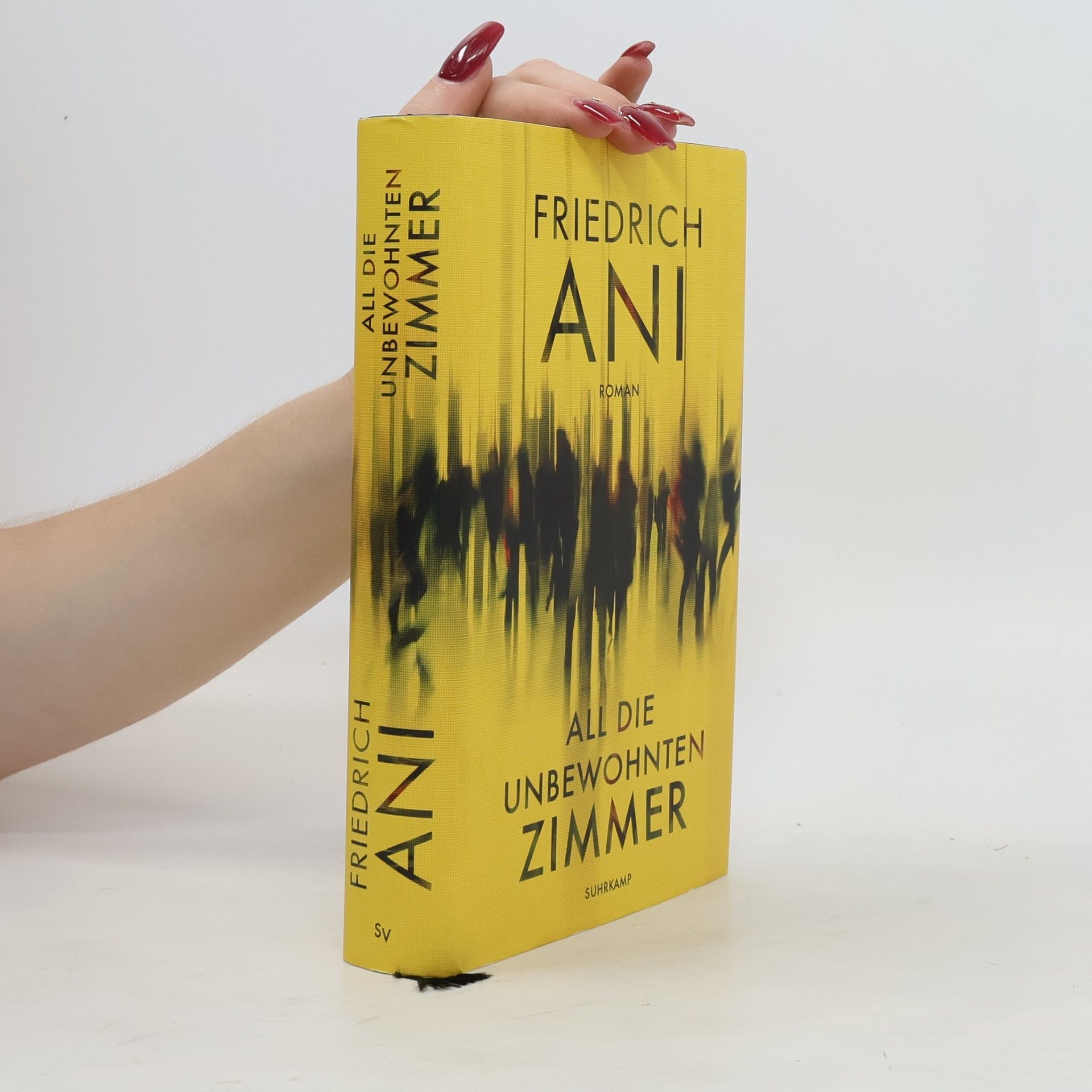 Friedrich Ani All die unbewohnten Zimmer