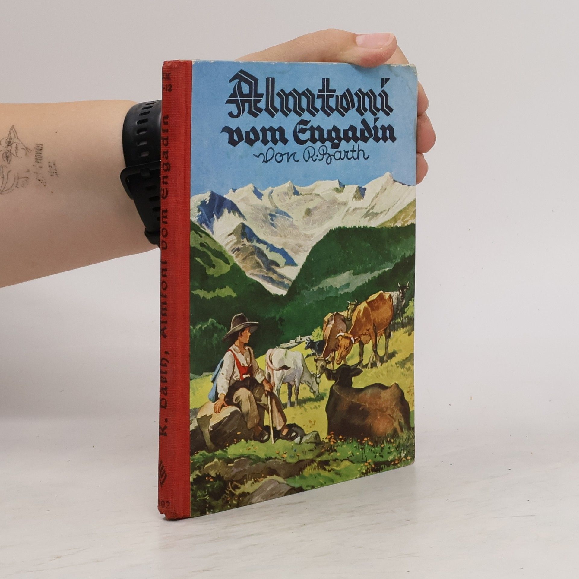 Almtoni vom Engadin. Erzählung für die Jugend