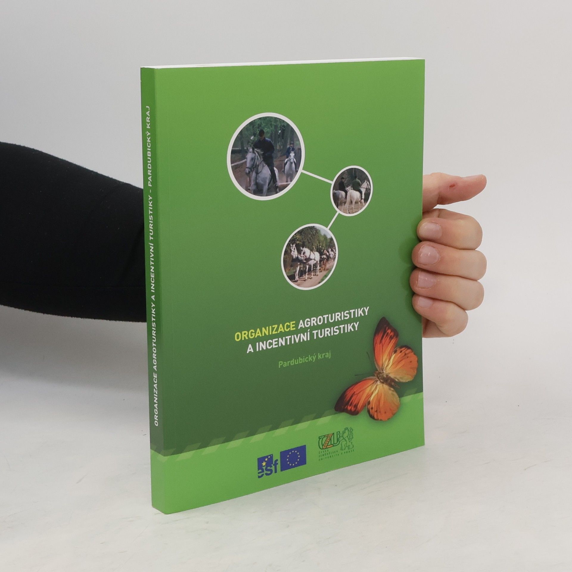 Collectif d'auteurs Organizace agroturistiky a incentivní turistiky