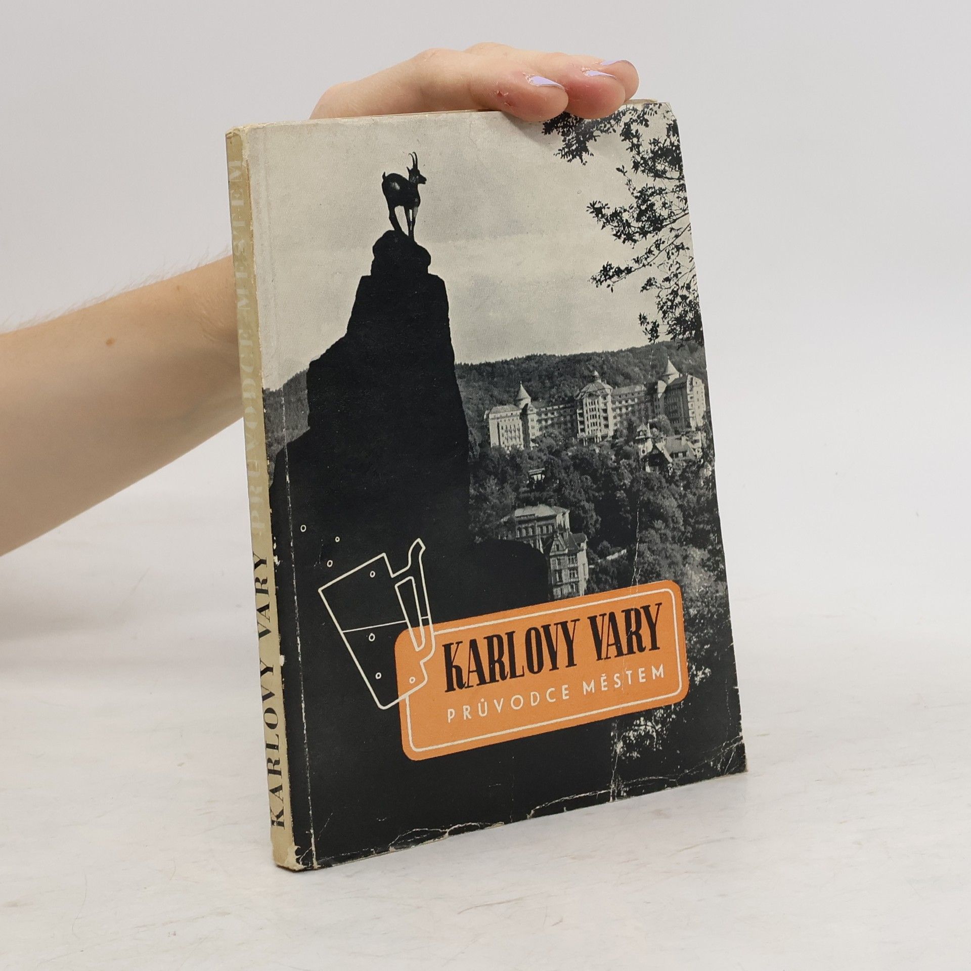 Václav František Žanda Karlovy Vary. Průvodce městem
