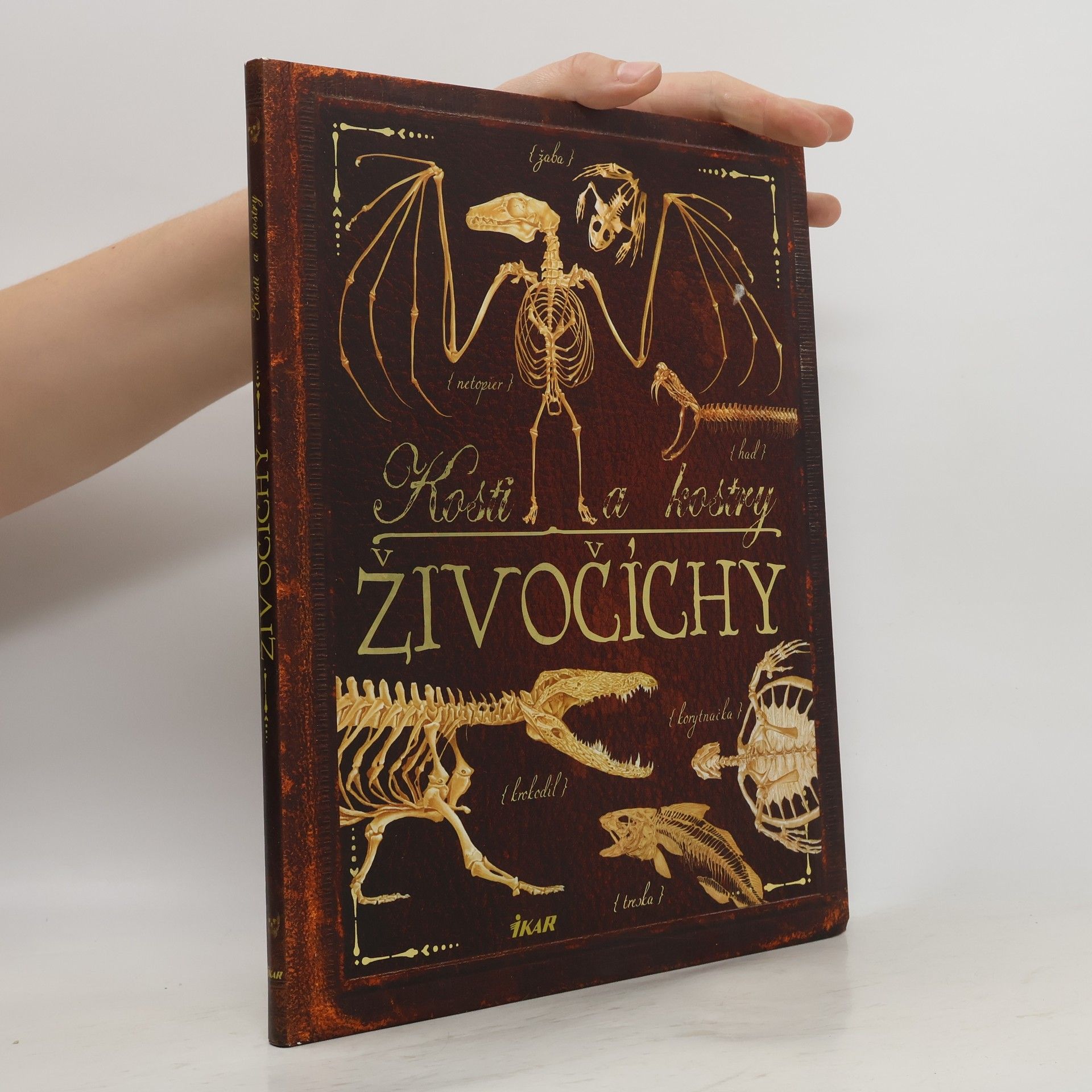 AA.VV. Kosti a kostry. Živočíchy