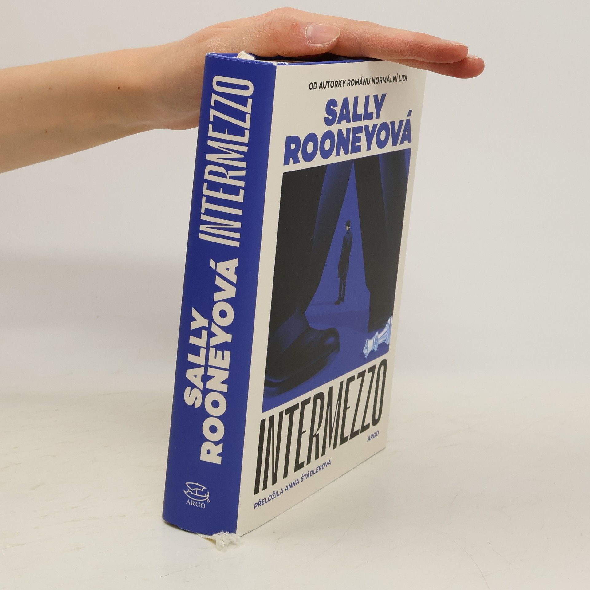 Sally Rooney Intermezzo