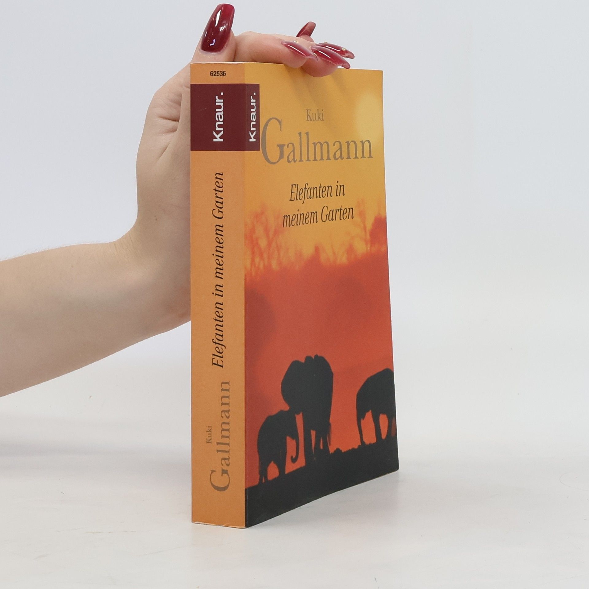 Kuki Gallmann Elefanten in meinem Garten