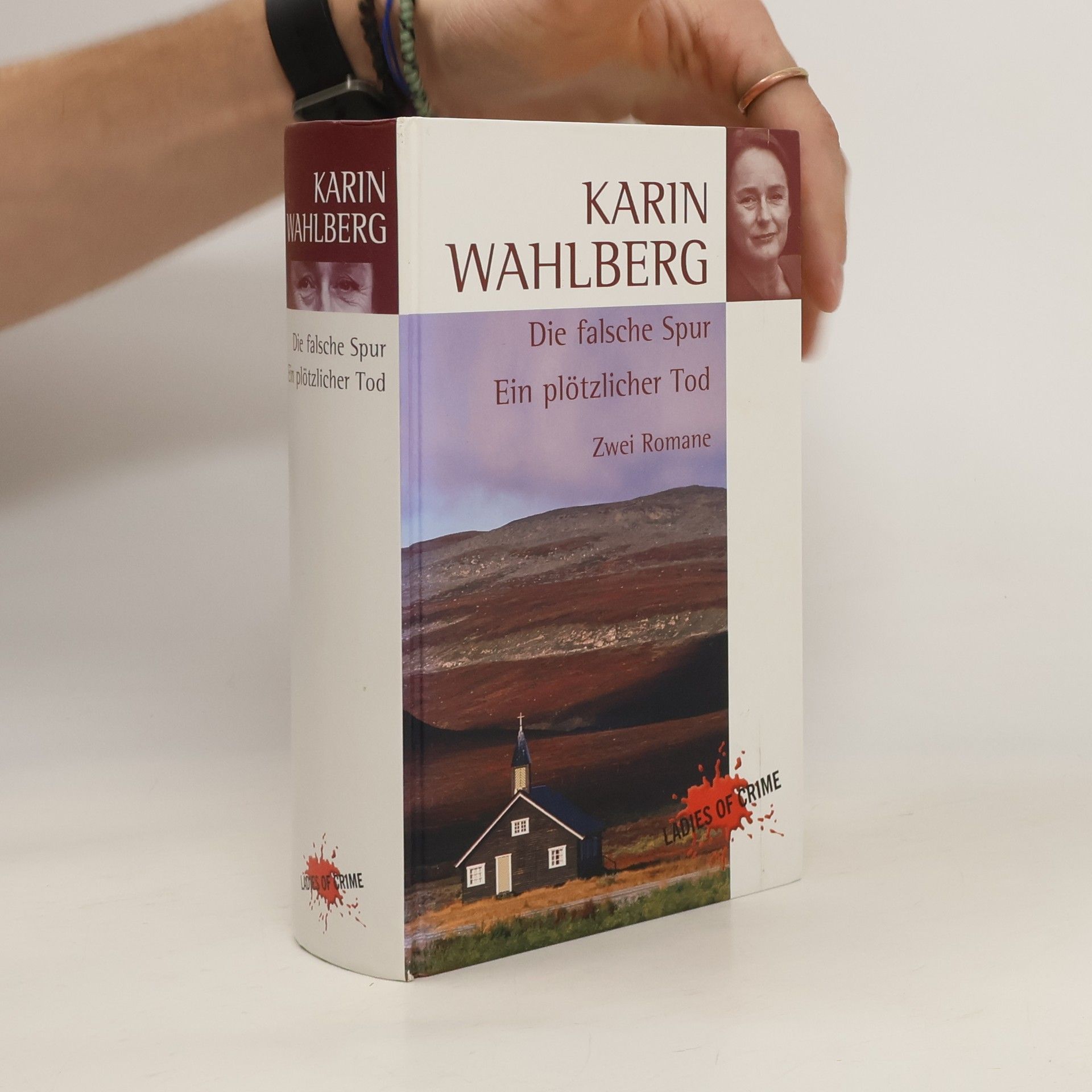 Karin Wahlberg Die falsche Spur Ein plötzlicher Tod