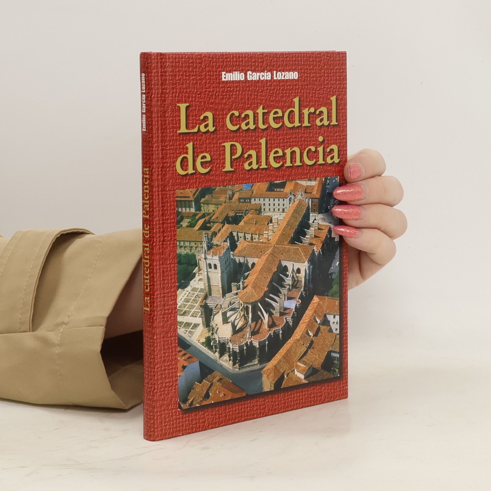 Emilio García Lozano La Catedral de Palencia