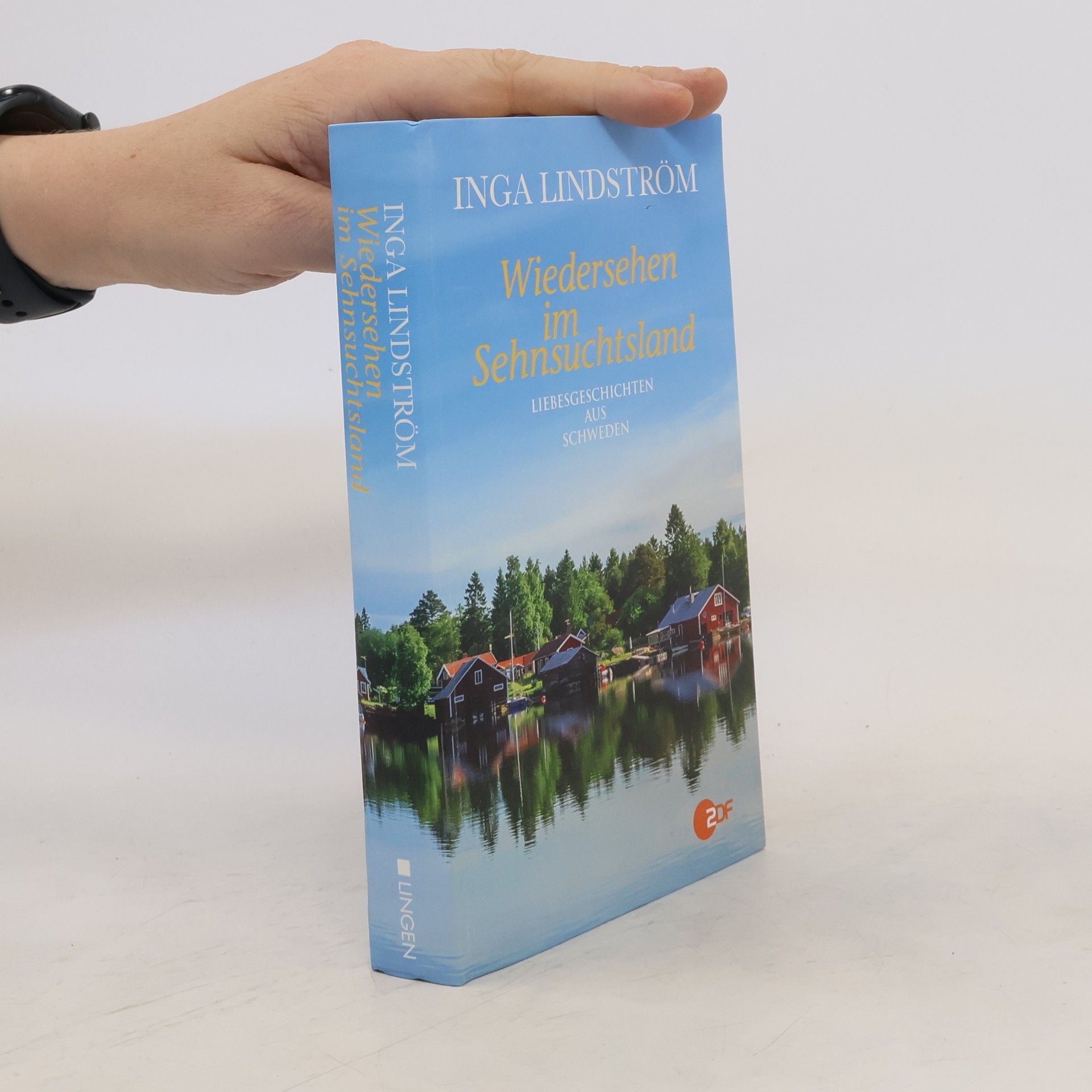 Inga Lindström Wiedersehen im Sehnsuchtsland