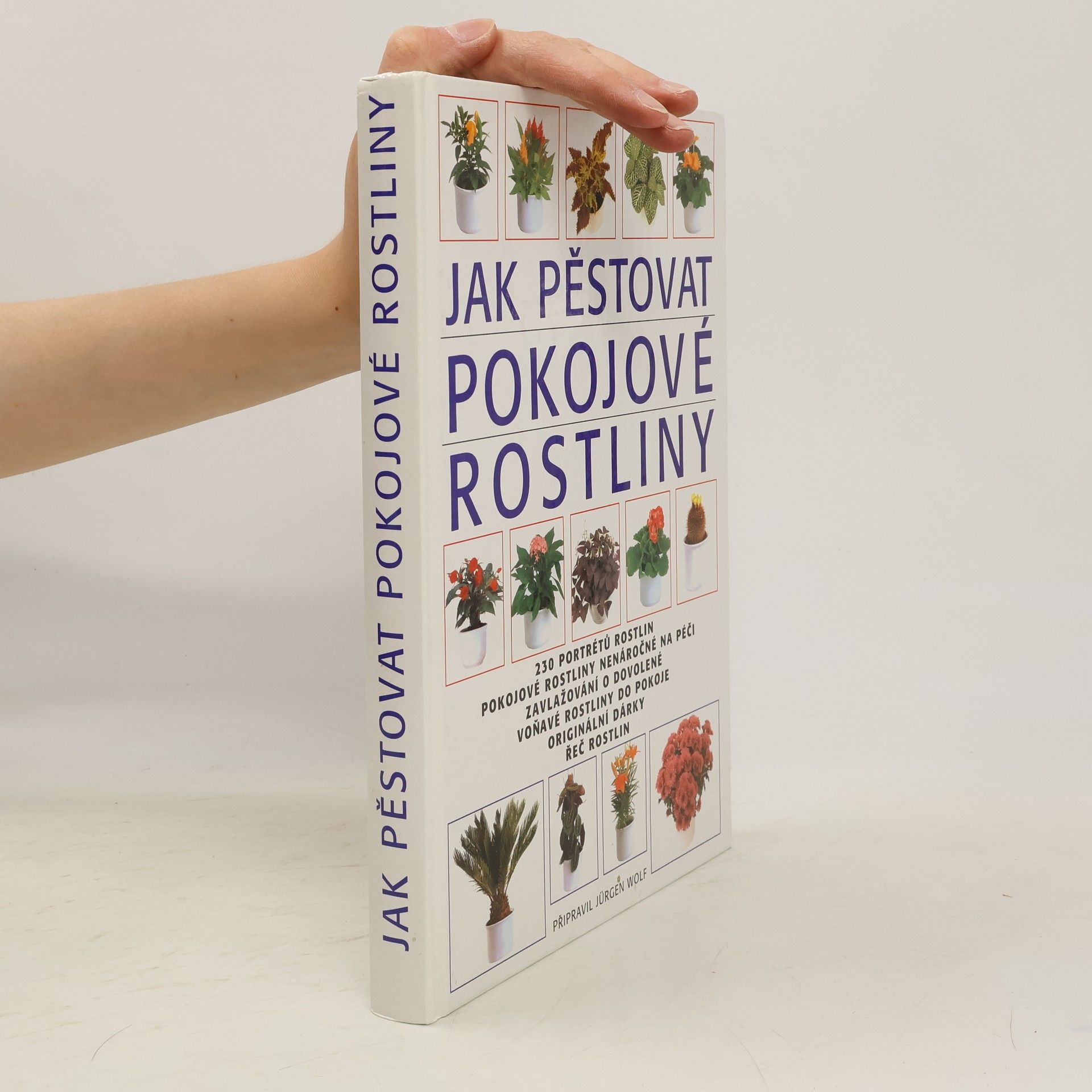 Jürgen Wolff Jak pěstovat pokojové rostliny