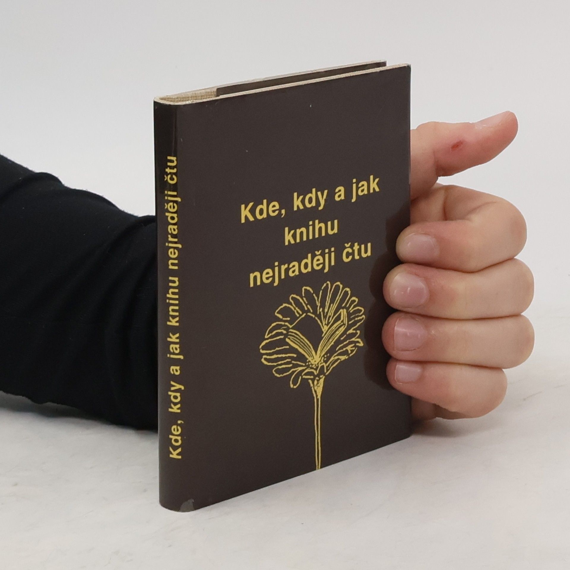 Miloš Hlavica Kde, kdy a jak knihu nejraději čtu